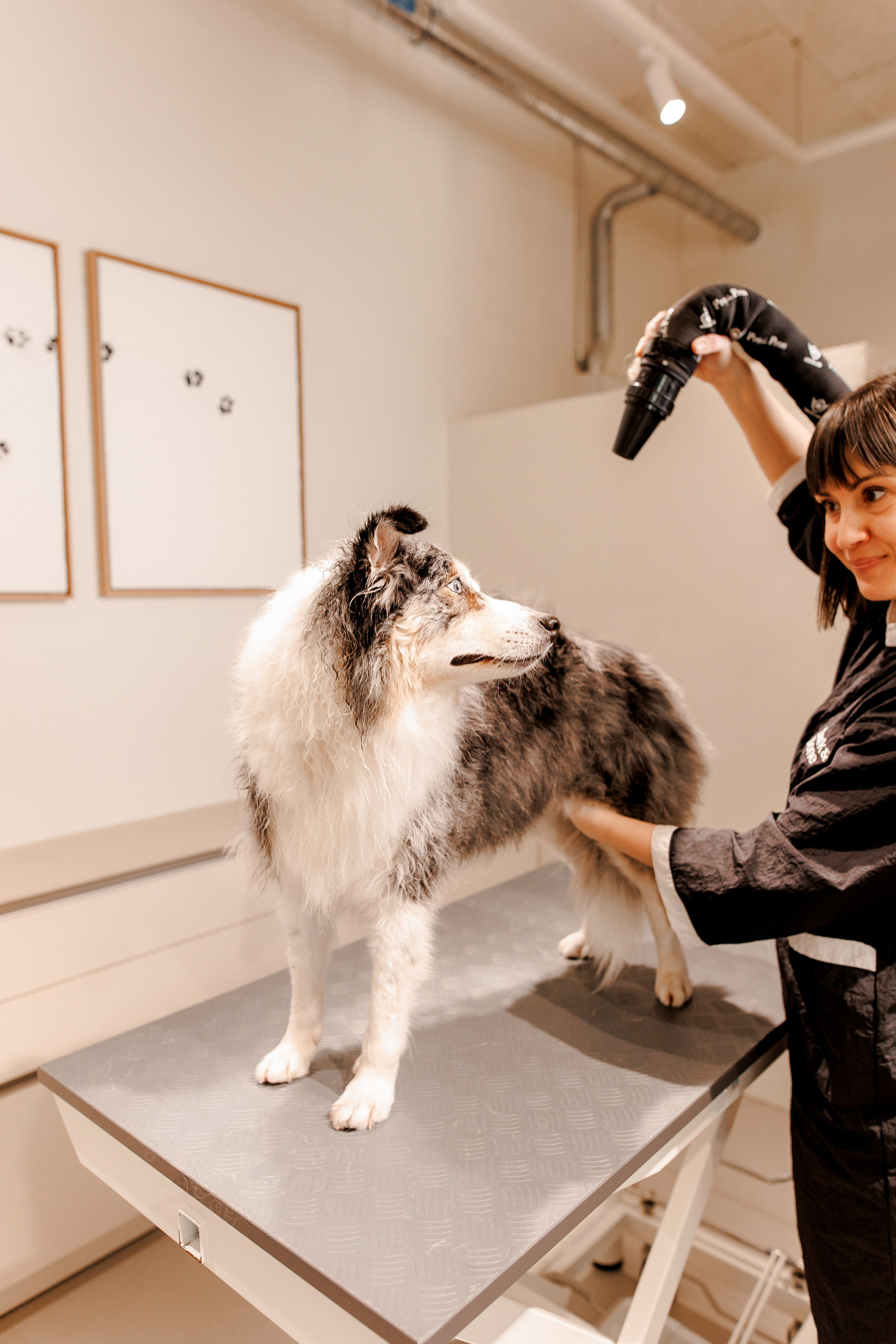 Bark & Bones. Familien- & Hochzeitsfotografin Schweiz. Valeria Diaz in Zürich und Umgebung