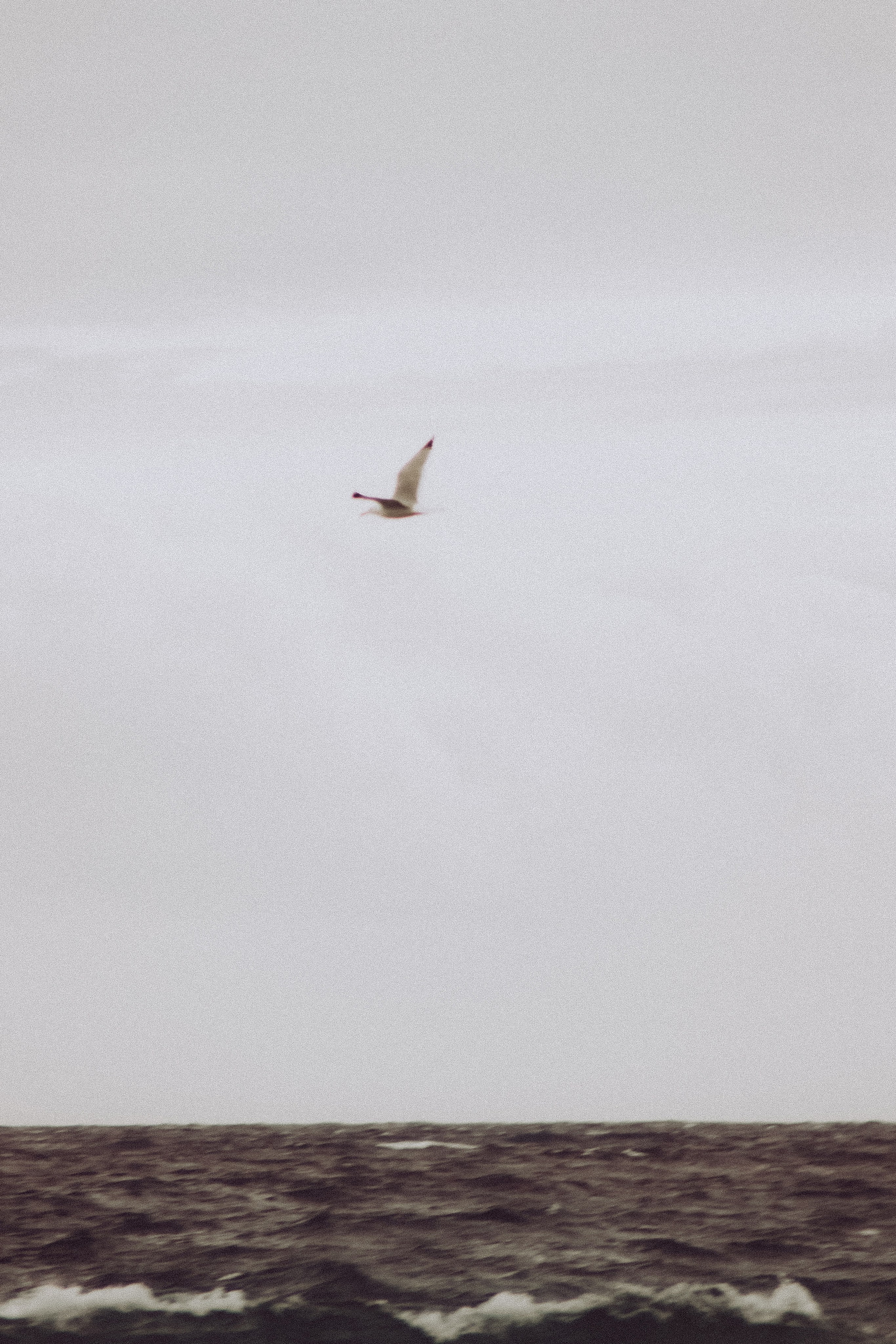 La Coudoulière, Saint Mandrier. Photographe à la Seyne sur Mer, Var