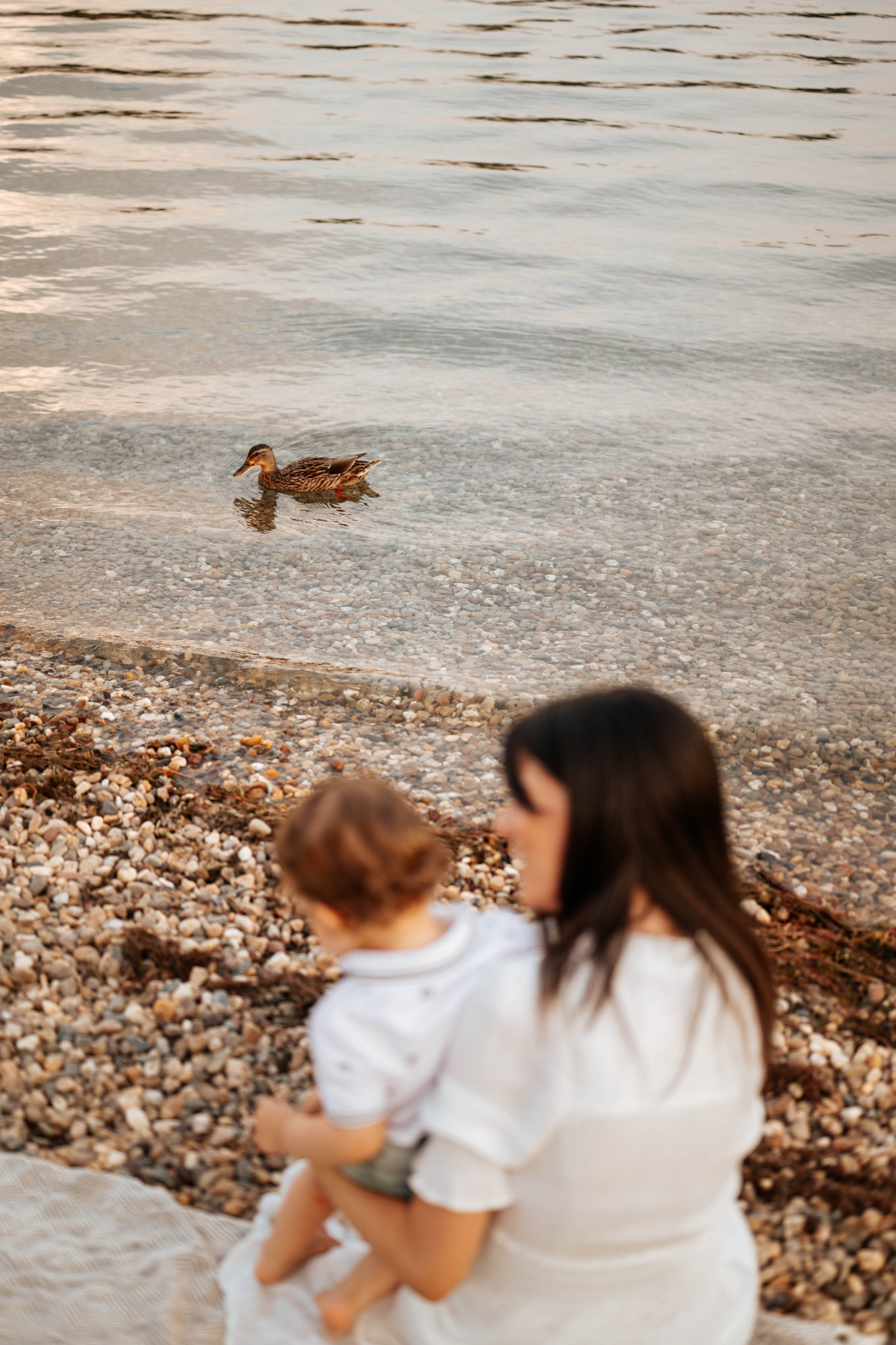 STORIES. Dečiji i porodični fotograf