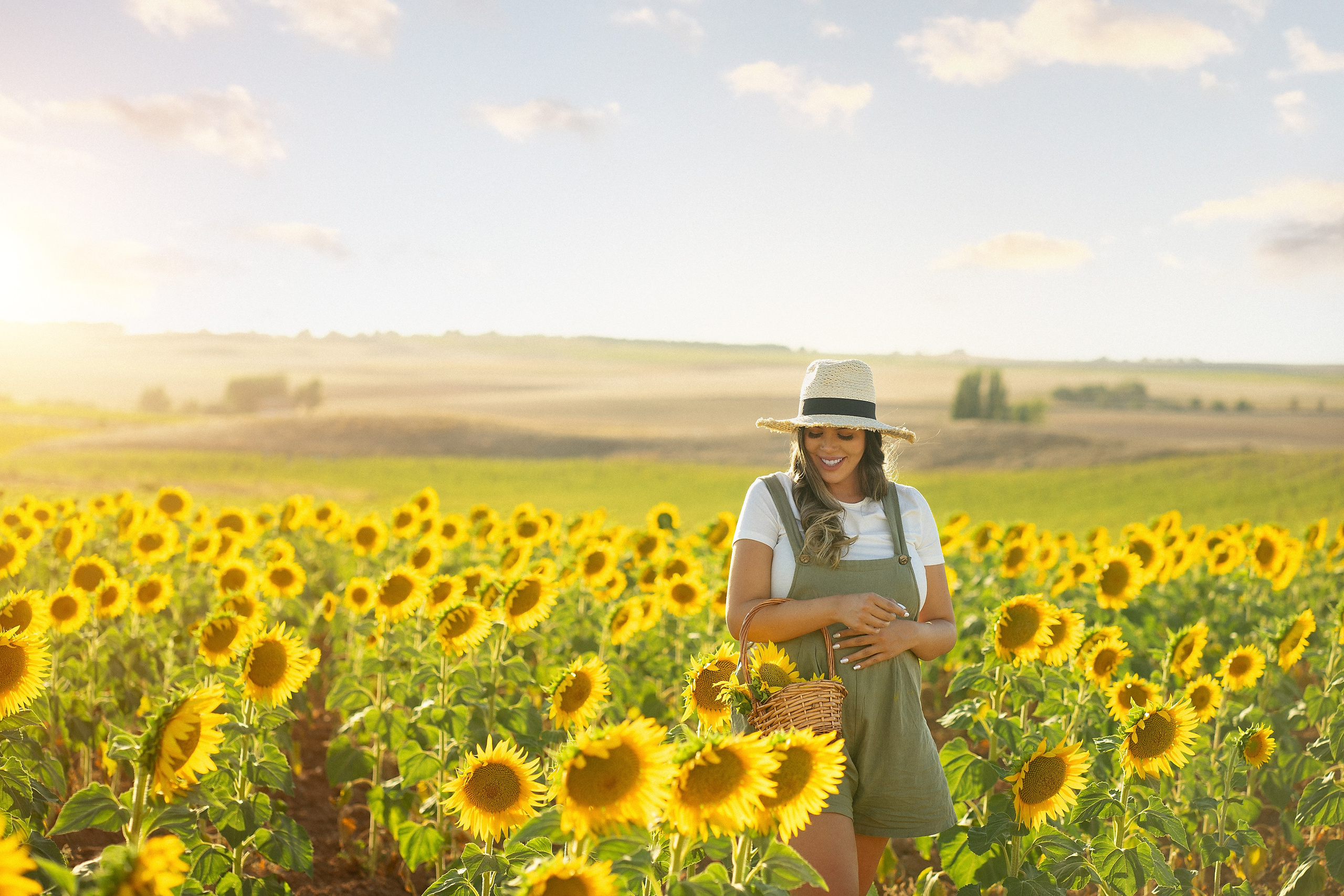 embzrazada girasoles