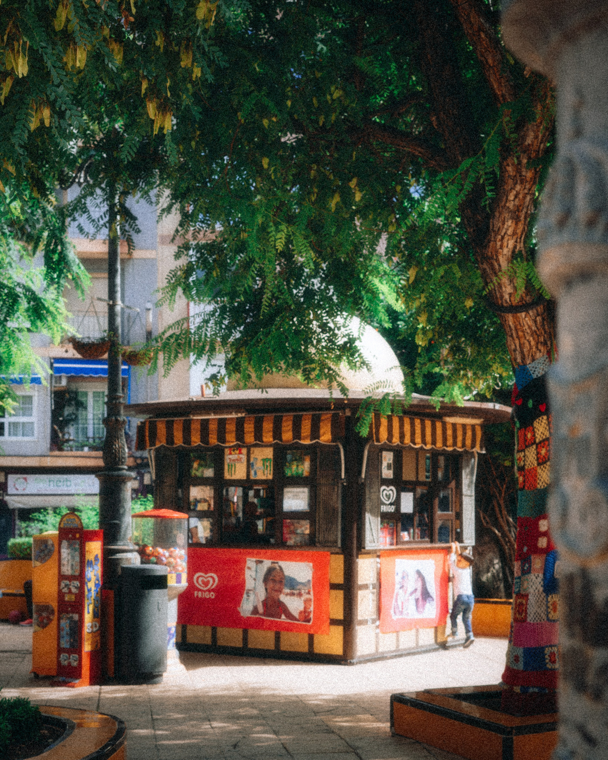 Roaming. Mike Avelli