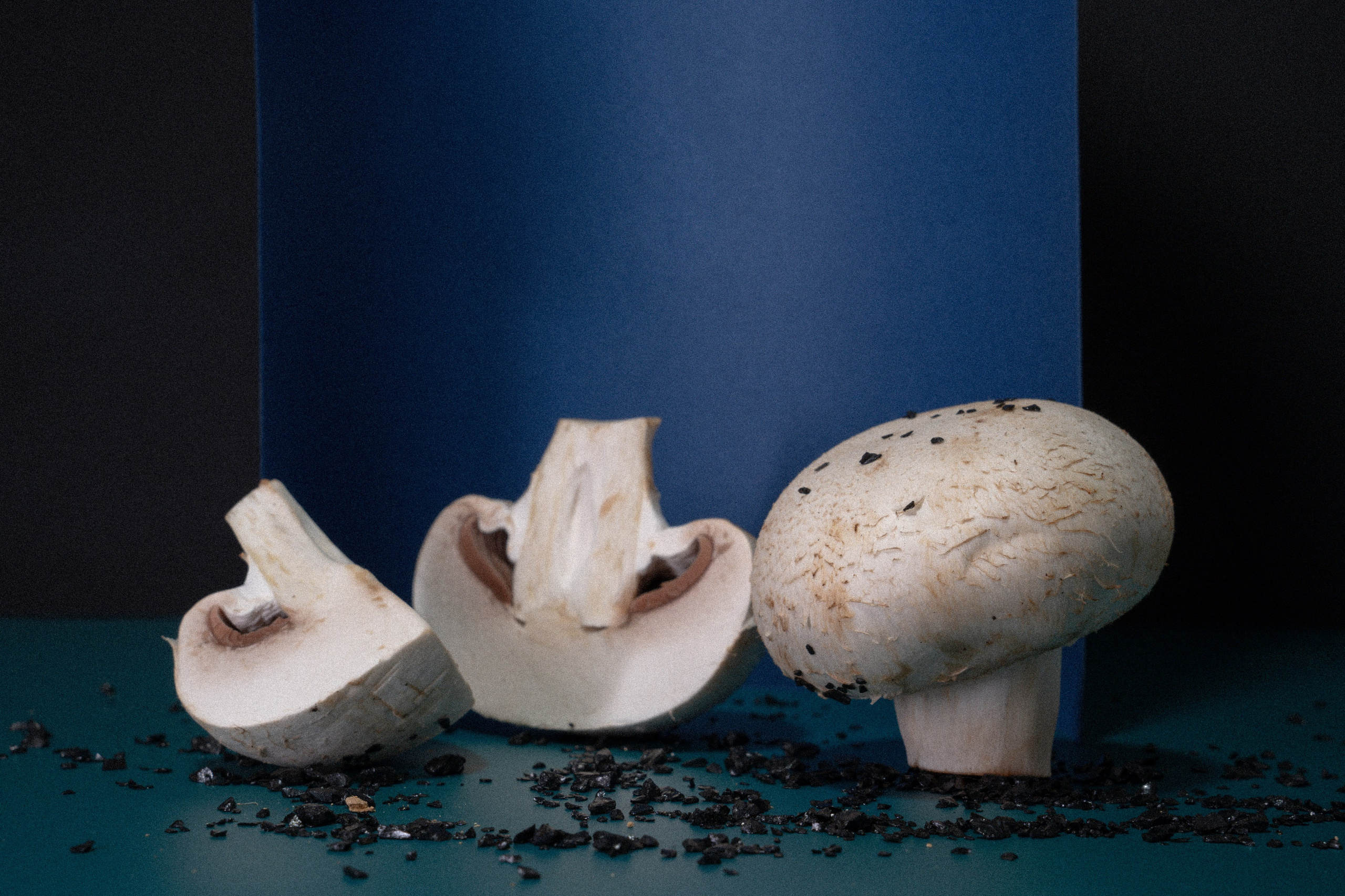 Factory (2023). Антонова | фото