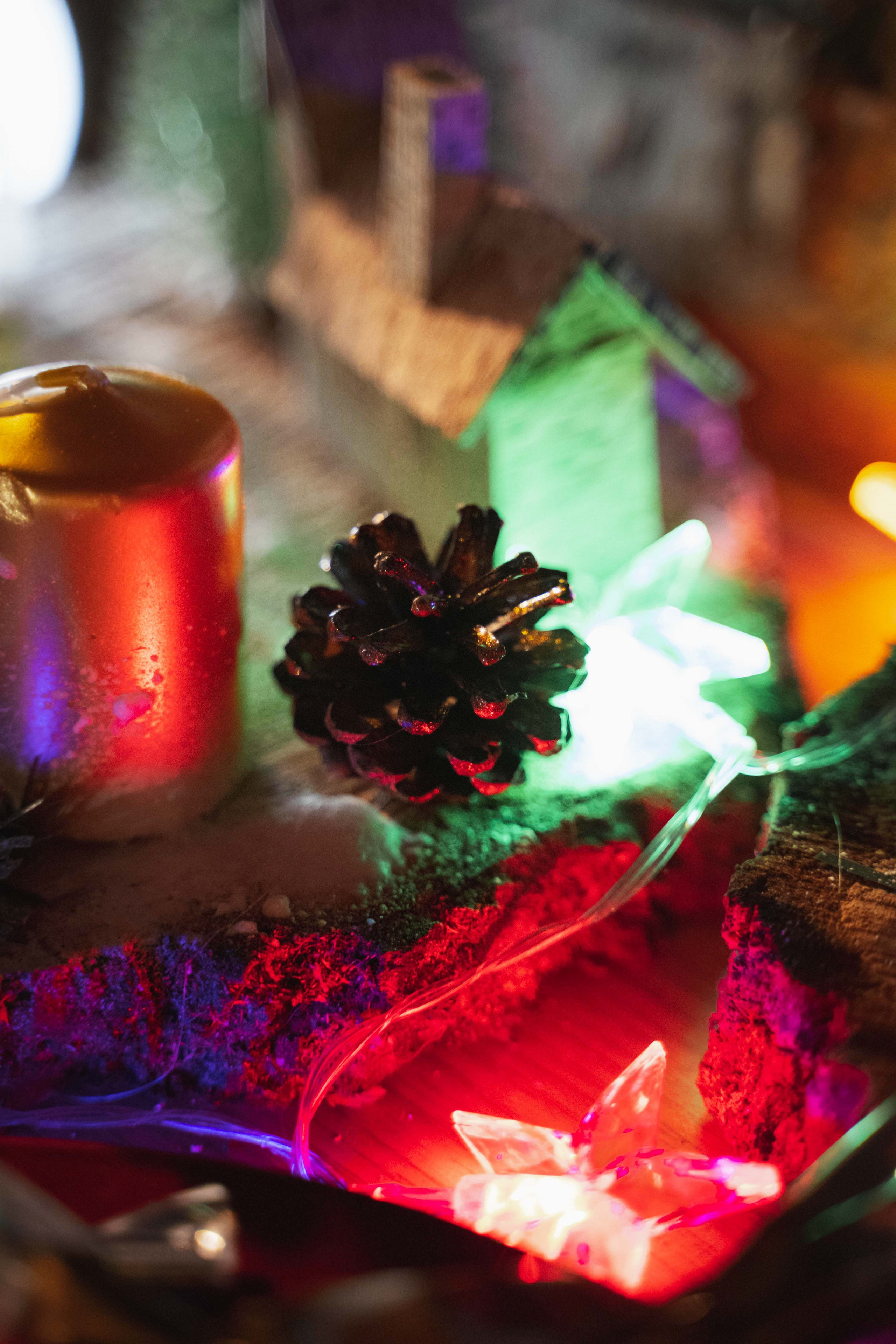 Novosadski Zimzolend. Жуков Студио