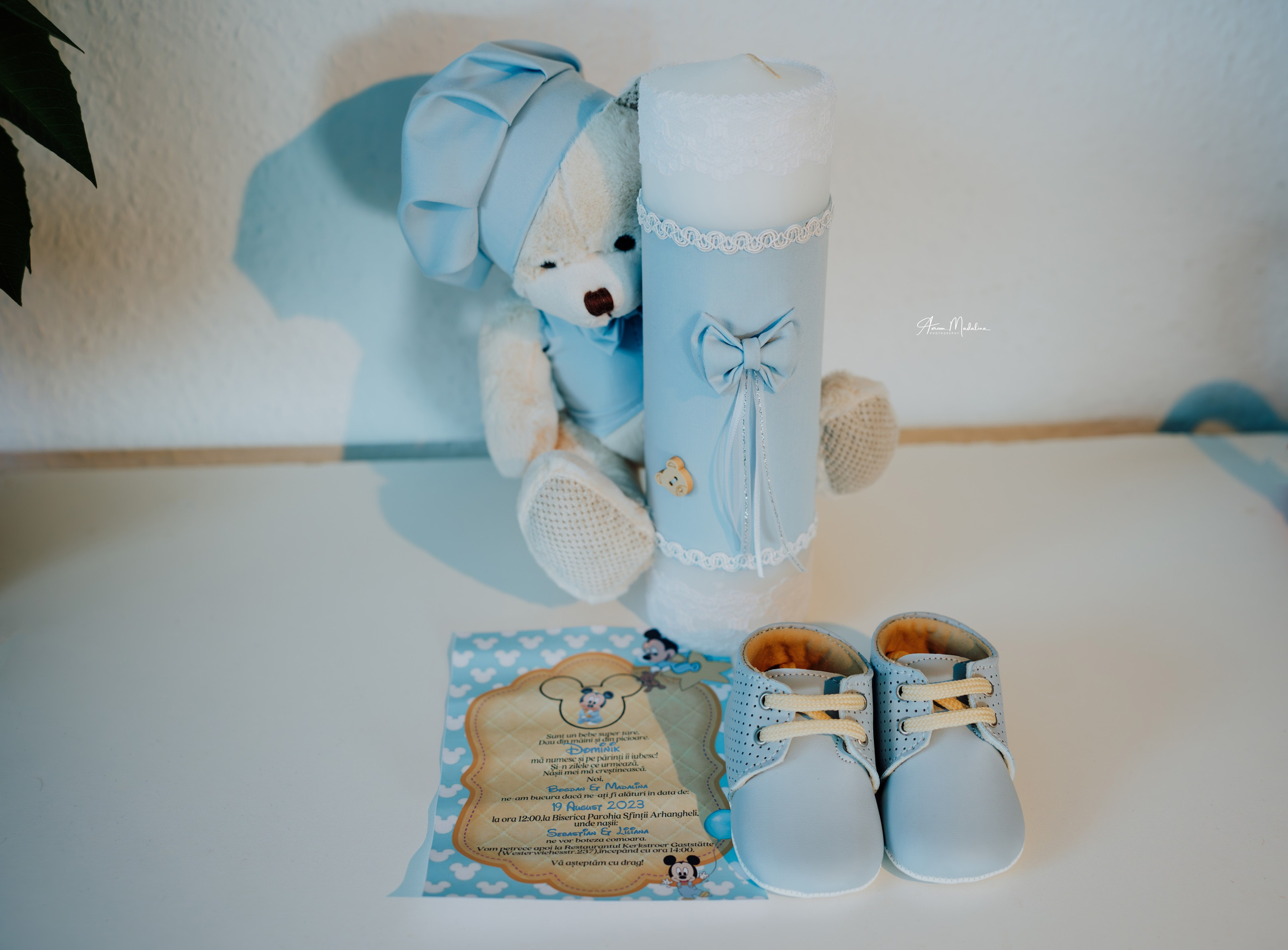 Dominik. Avram Madalina Photography