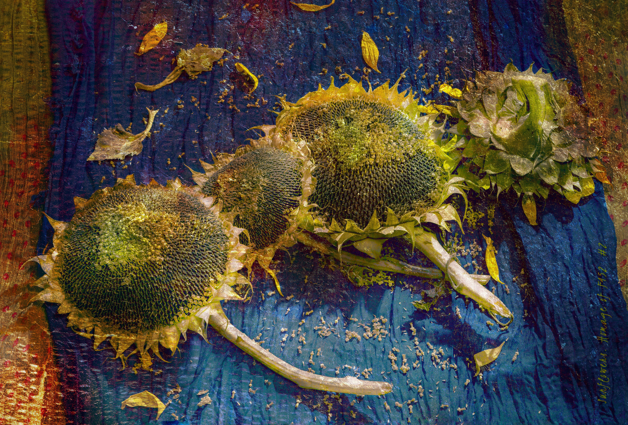 Van Gogh and the Sunflowers. Tribute. Fine art portrait. Director, Photographer and Artist in Valencia Natasha Bogomolova