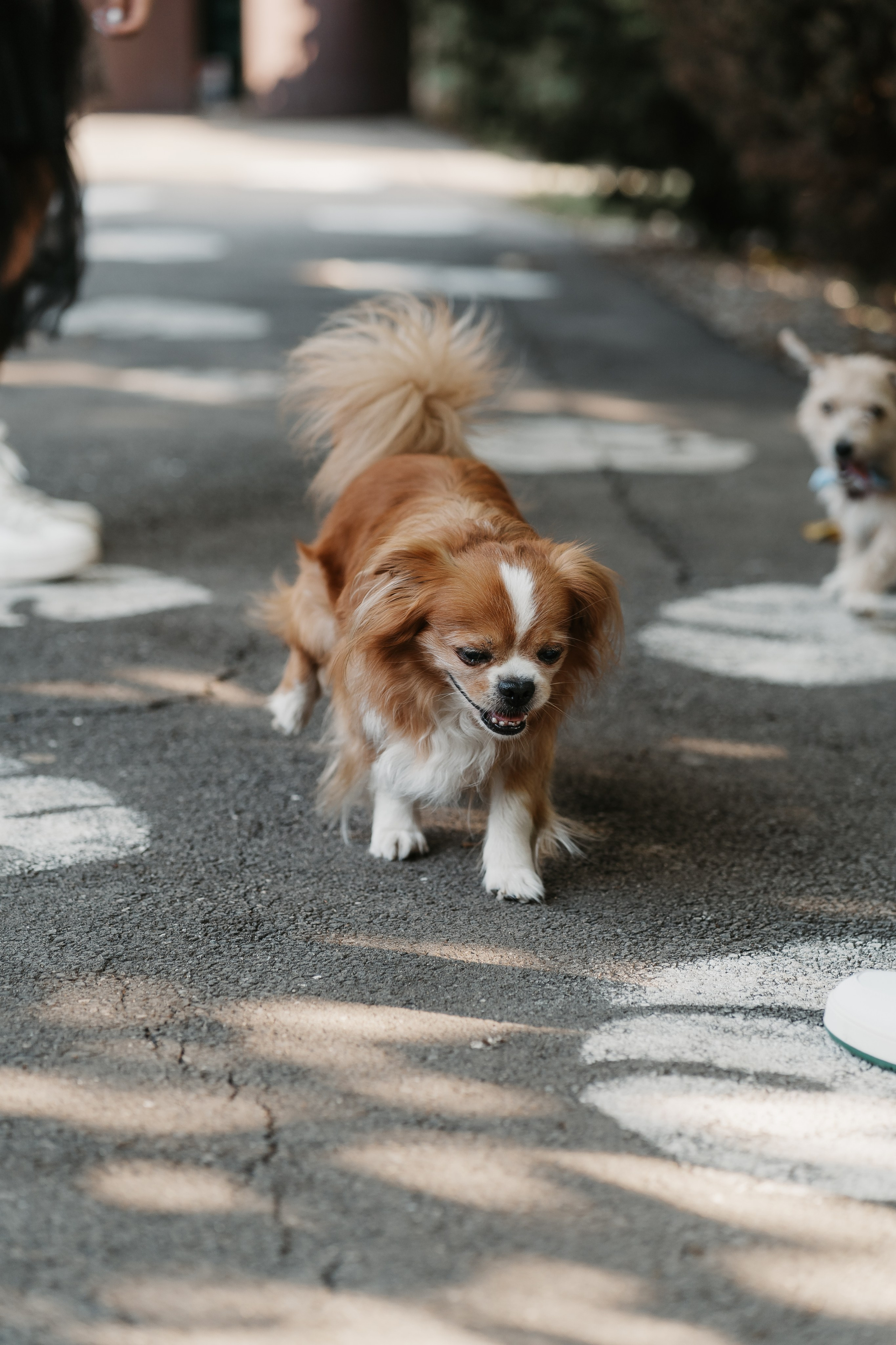 Simona & Andrei. Dara Lens | The art of remembering