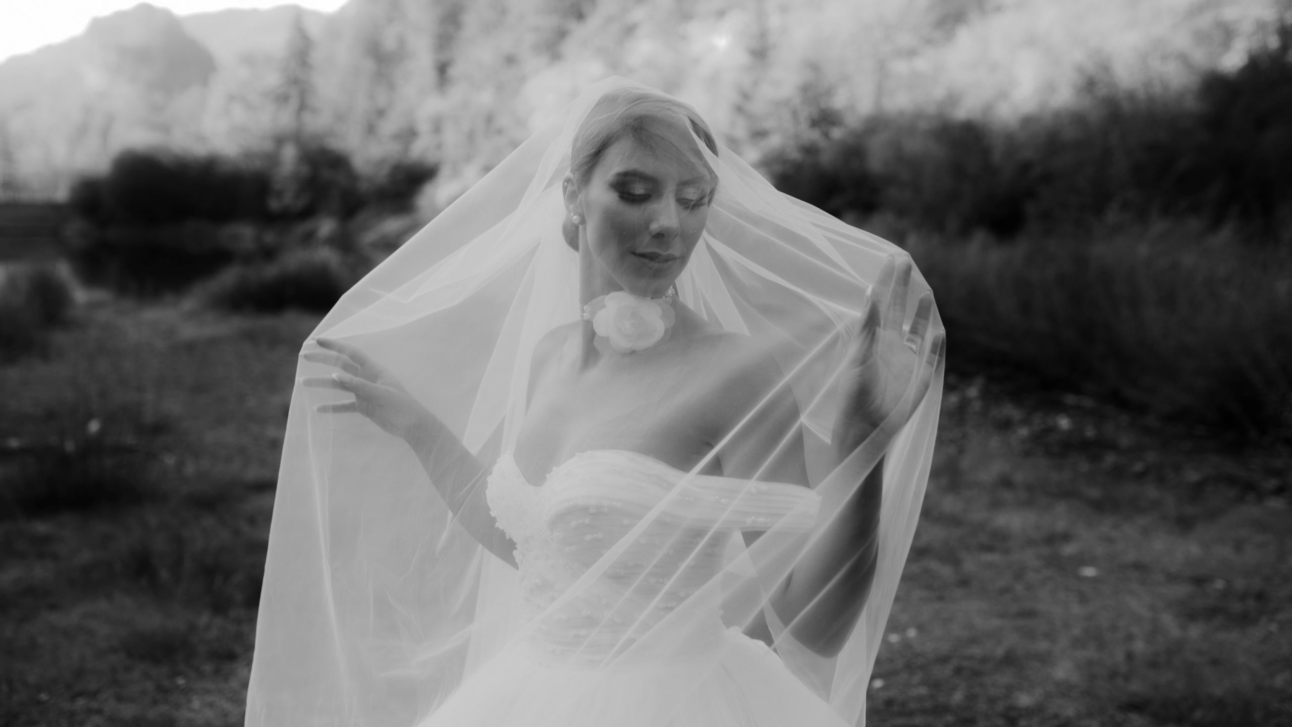 Wedding & Family photographer Jelena Anđelić