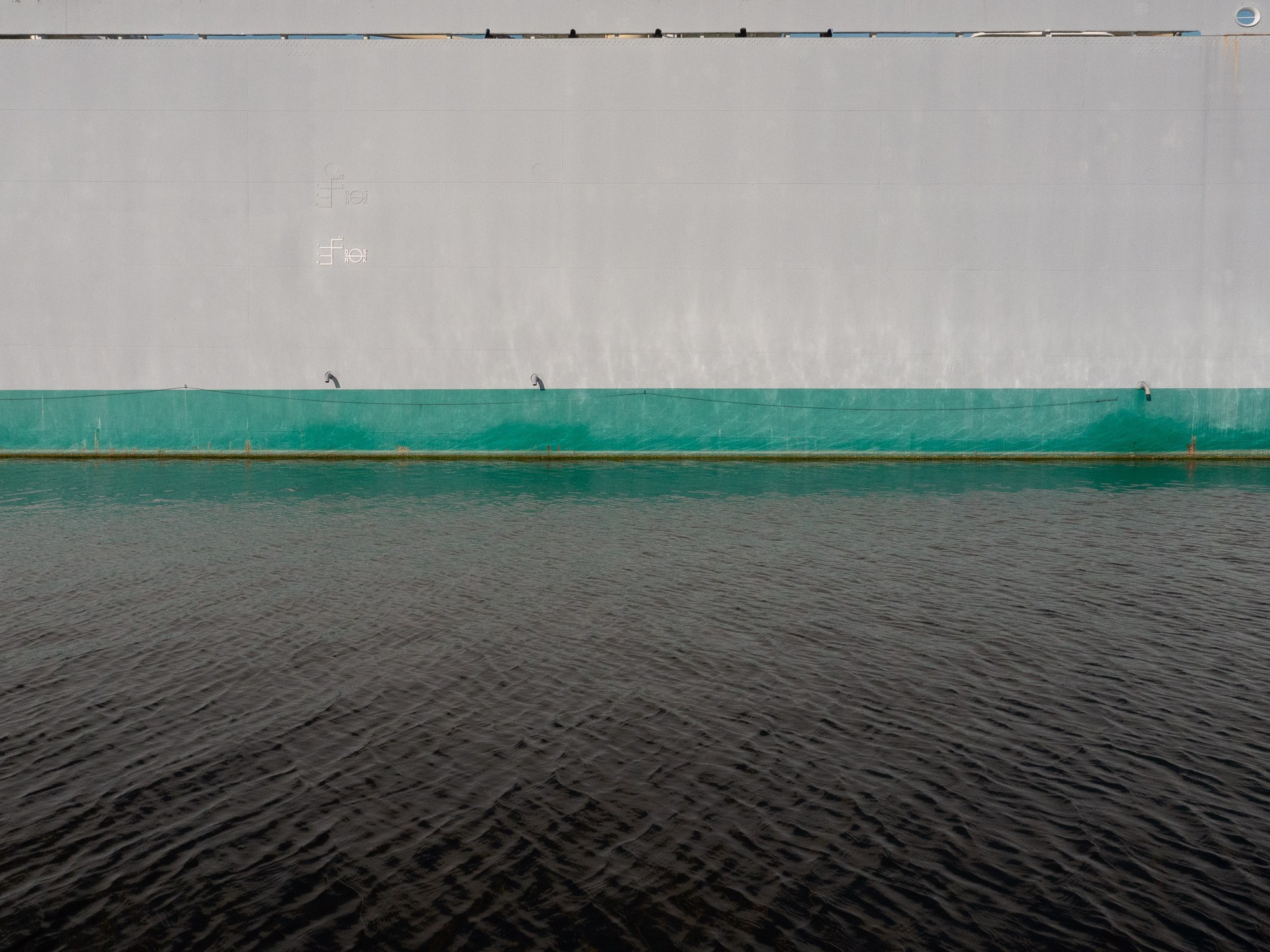 Arrival. Anastasia Musinova