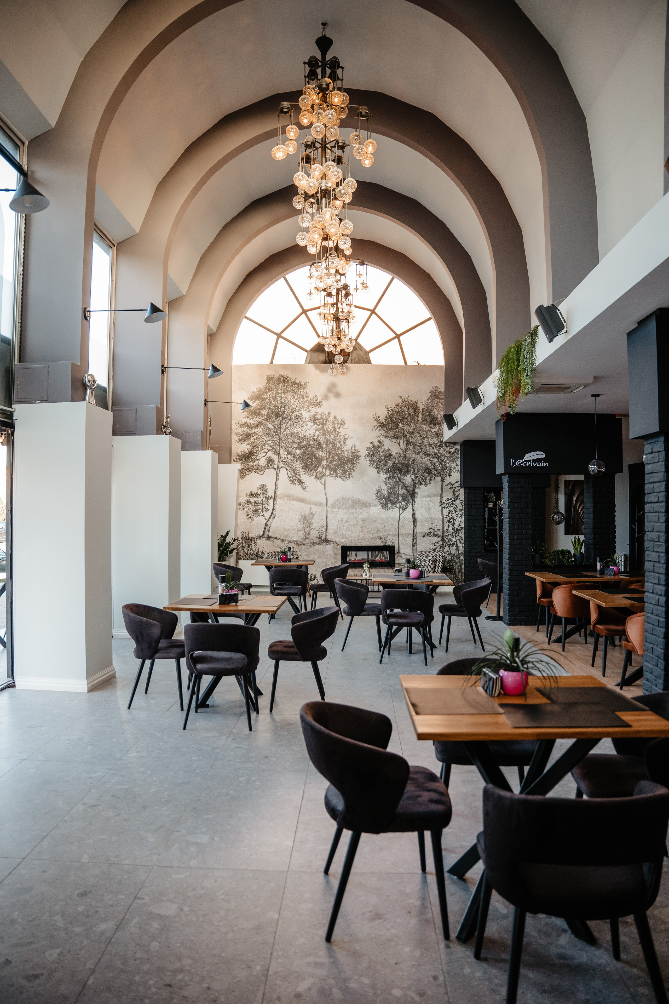 LEcrivain. Dragosbaciuartphotographer