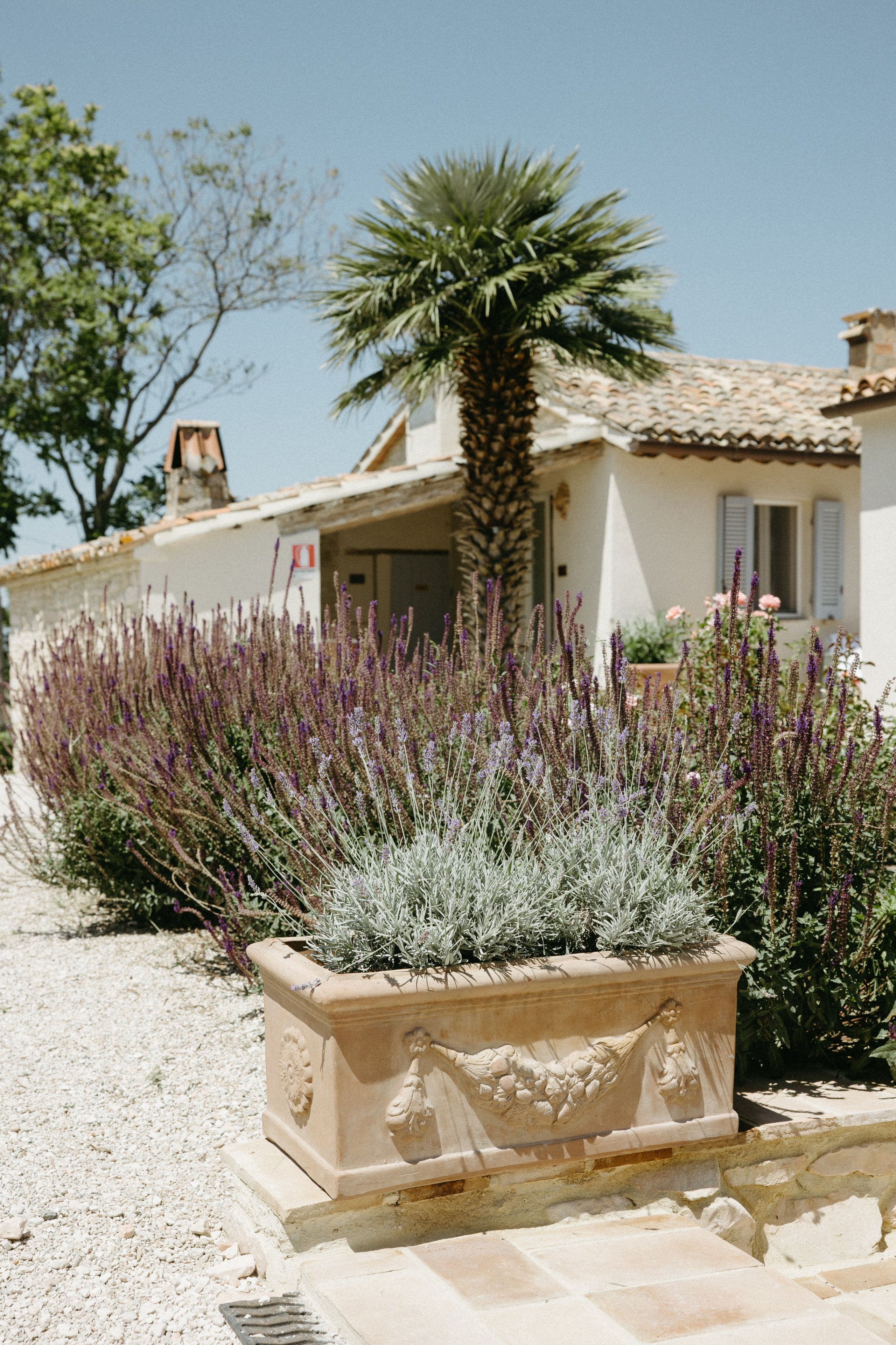 Sofia&Falk. Wedding photographer Italy