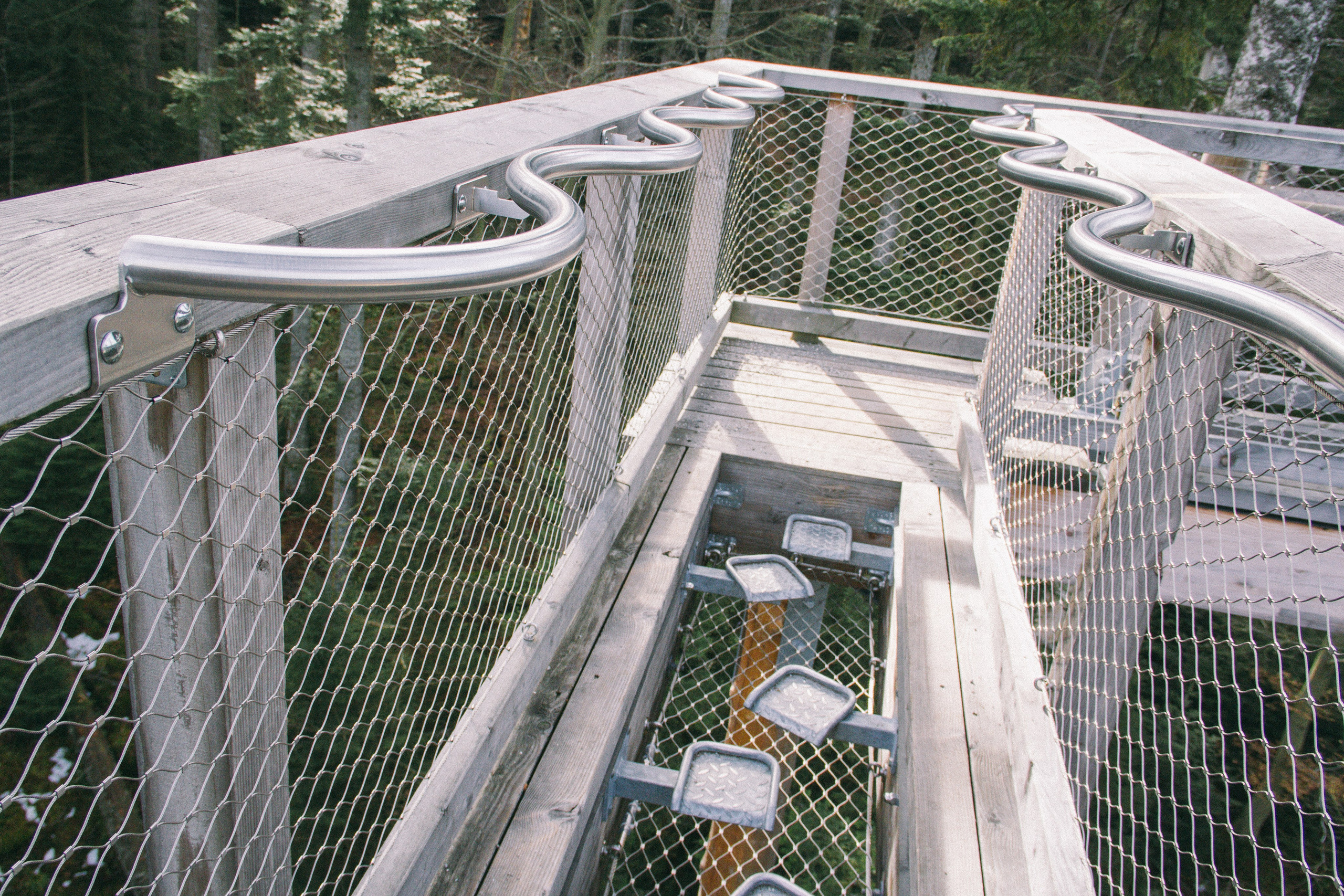 Над вершинами деревьев Baumwipfelpfad. Фотограф в Германии — Мария Чистякова