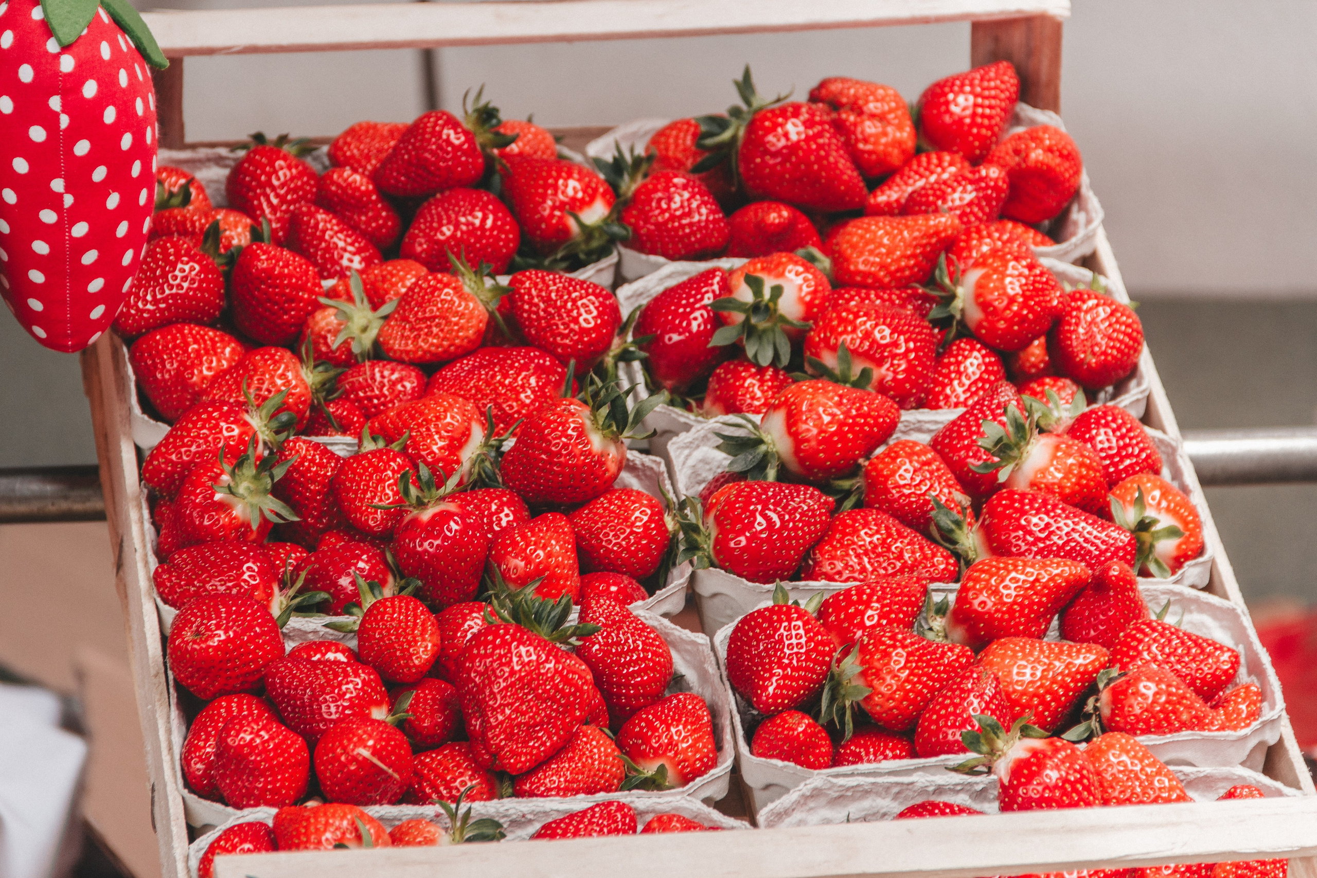 Праздник клубники в Оберкирхе. Фотограф в Германии — Мария Чистякова