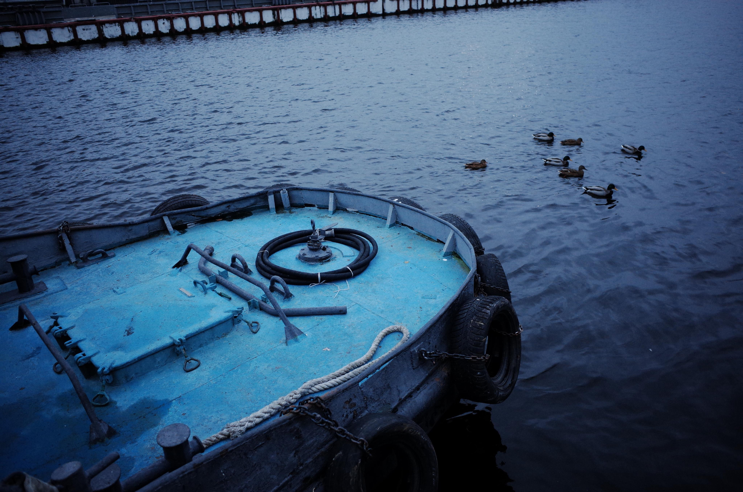 Водный ветер господина Петера. Виктория Дини. Арт-фотография