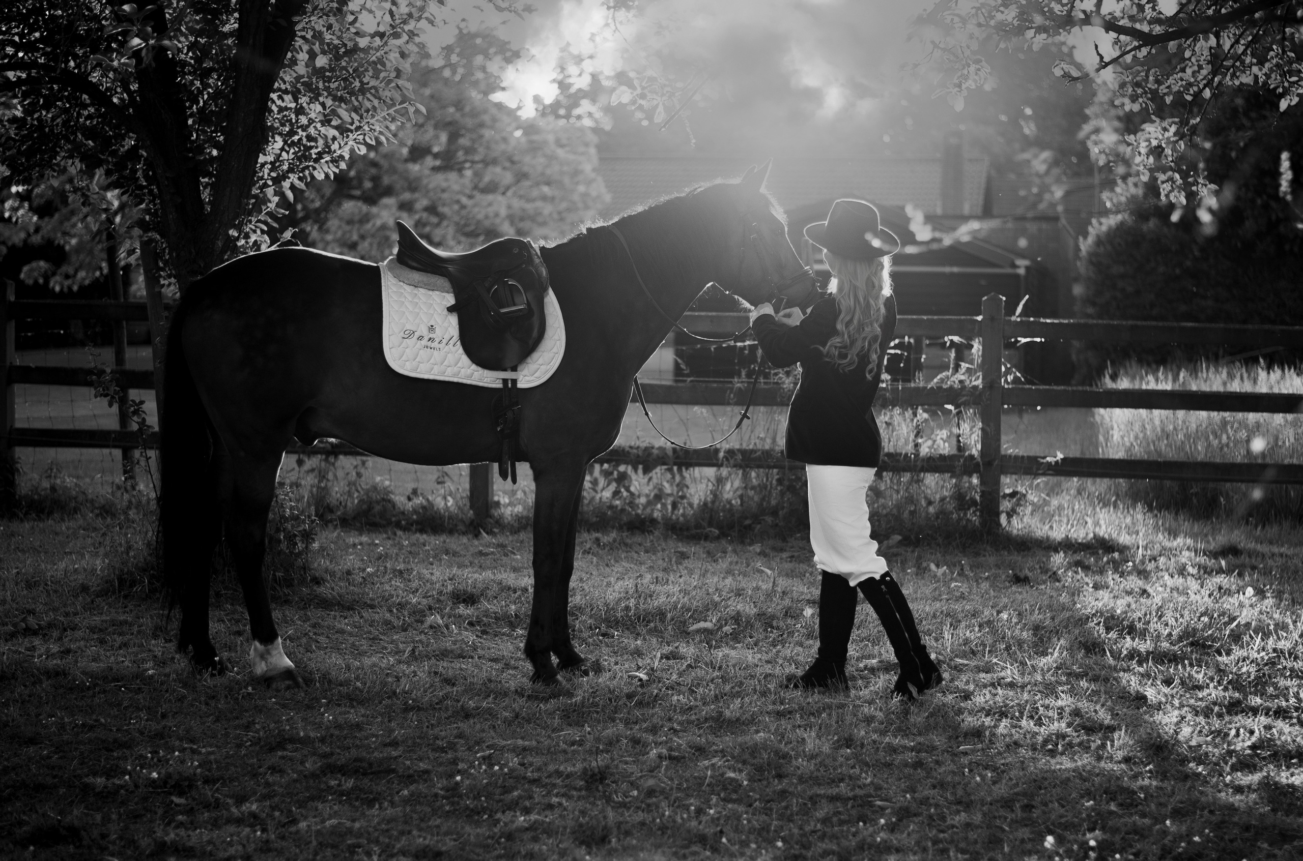 Photoshoot with Horses. Professional Photograher, Antwerpen/Belgium