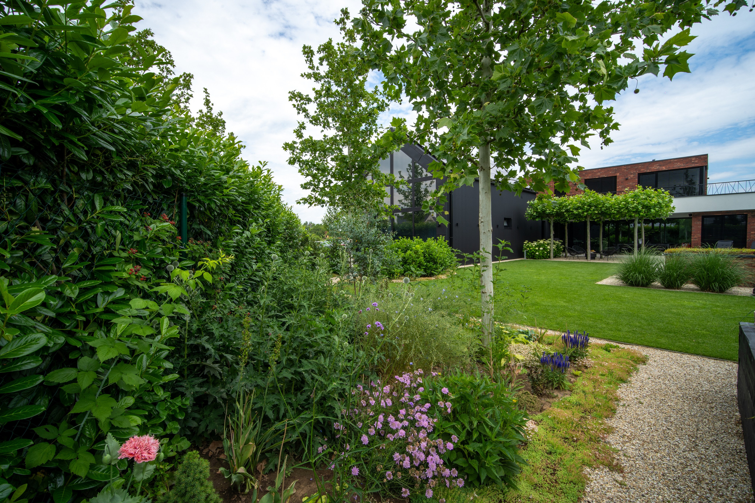 BEŽECKÁ 11. Photographer and videographer in Norway and Slovakia Andrea Zemko