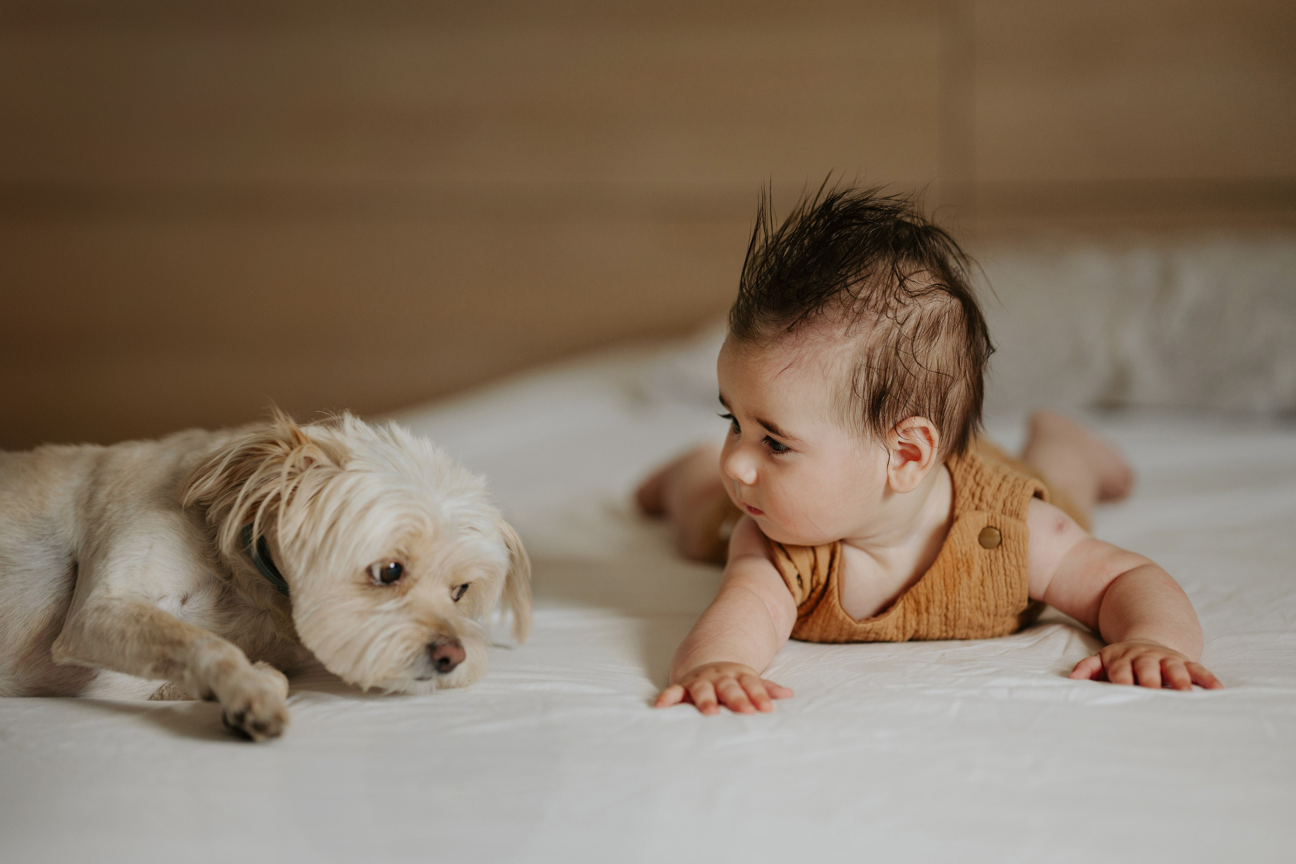 Botezul. Www.florinbucurfoto.ro