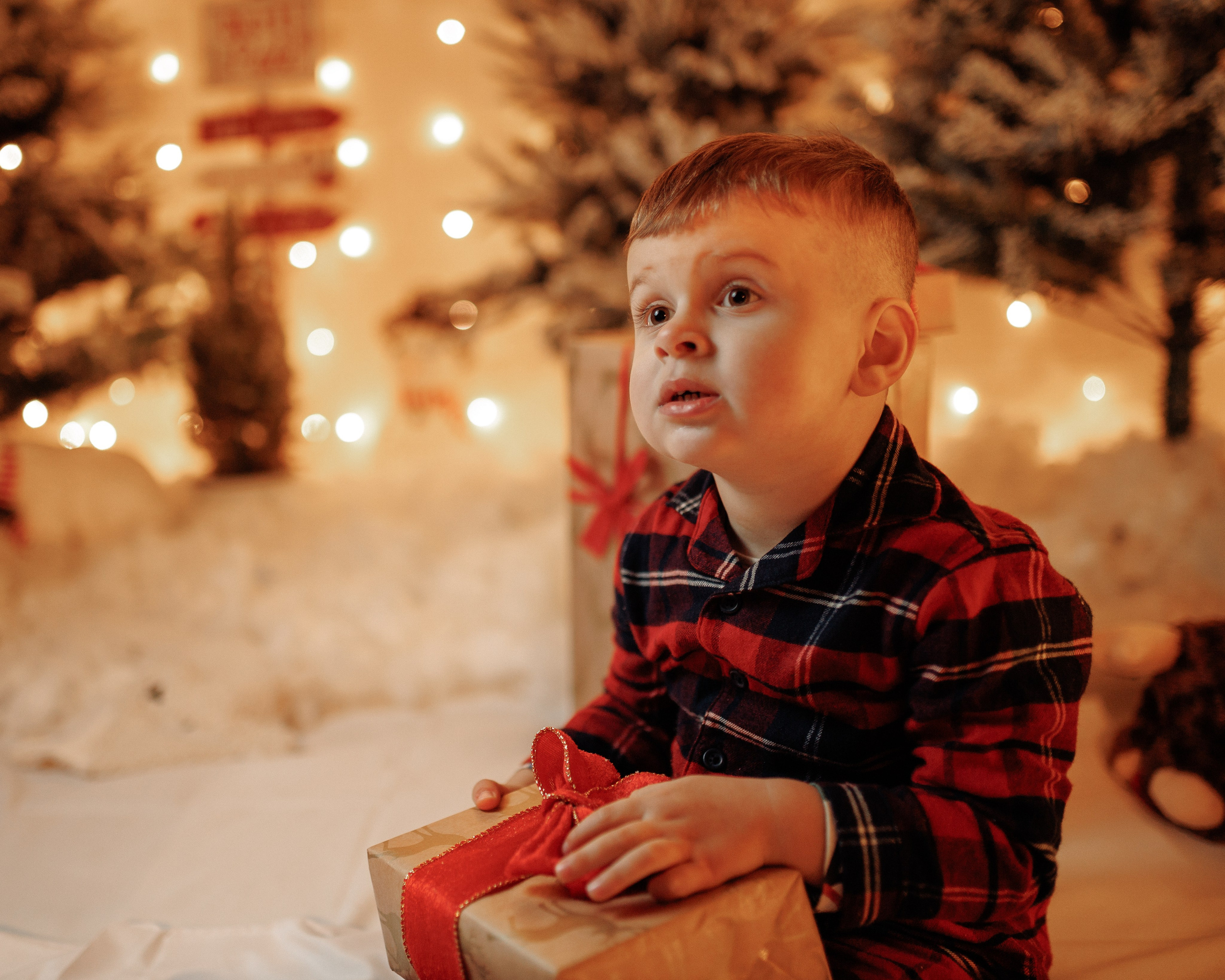 Christmas Time. Https://valphoto.wfolio.pro/