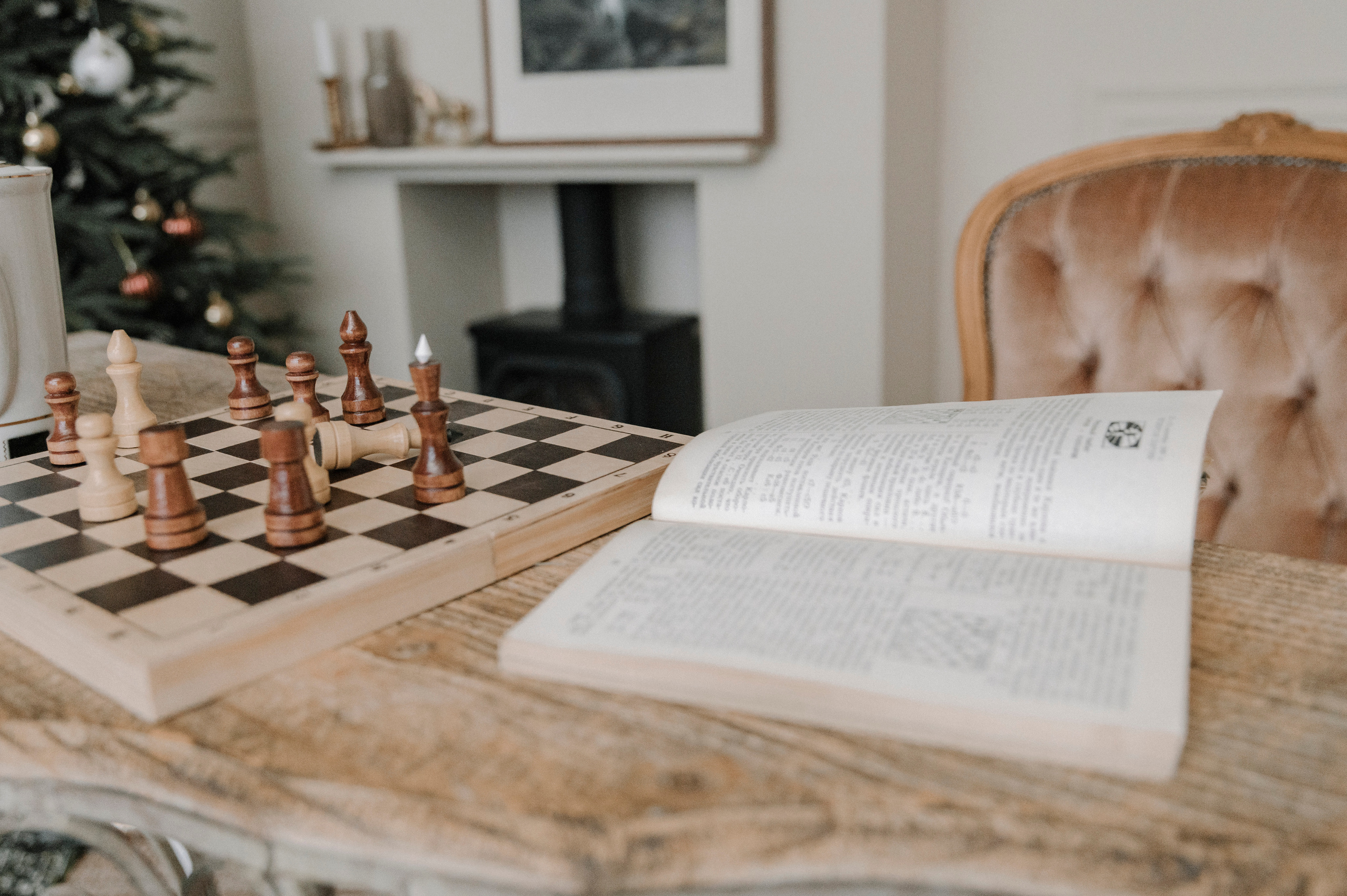 Ruch królowej. Fotograf w Krakowie/Europie Weronika Stoma