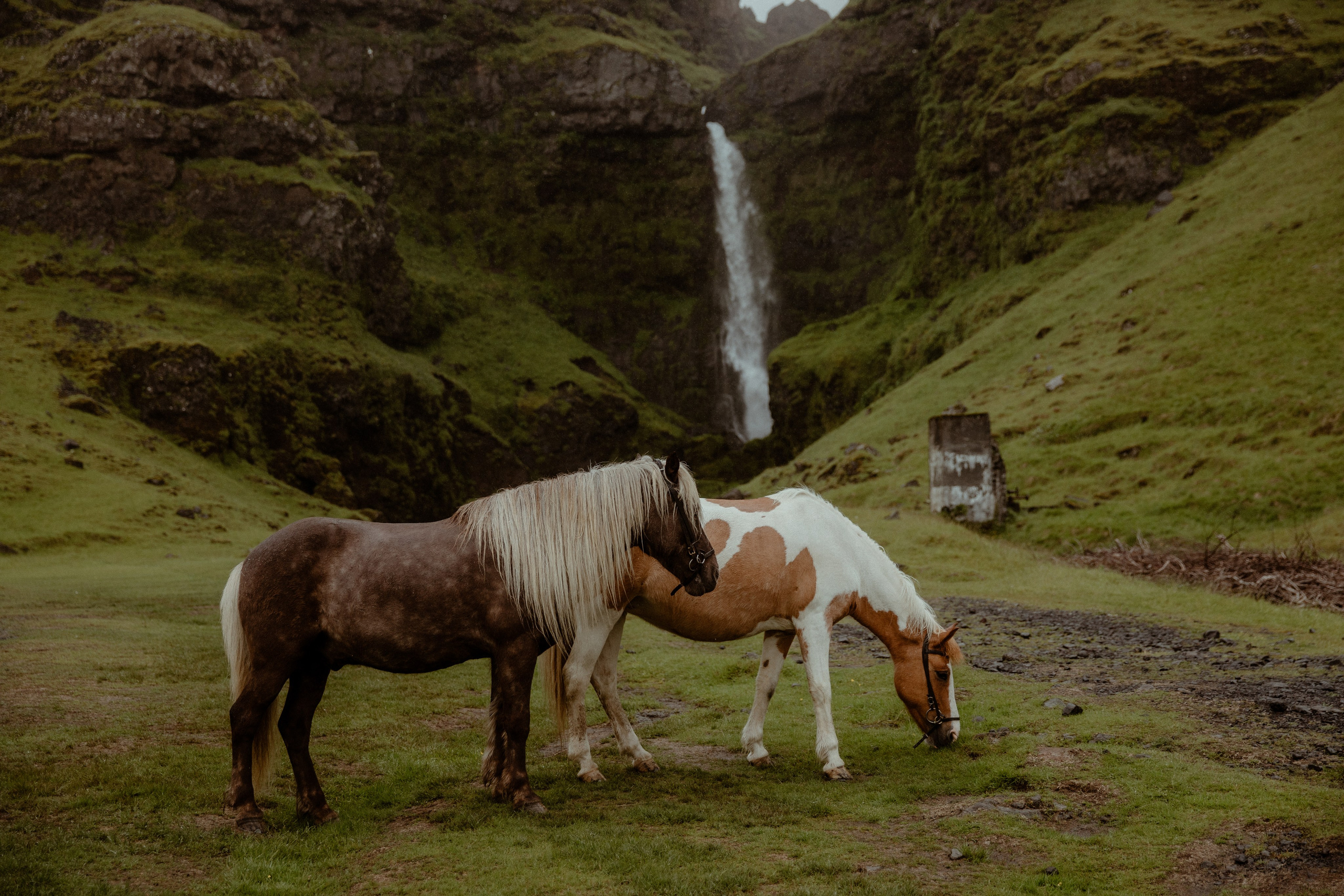 Elopement at Kvernufoss Waterfall. Iceland elopement photo and video | Nikolaichik Photo