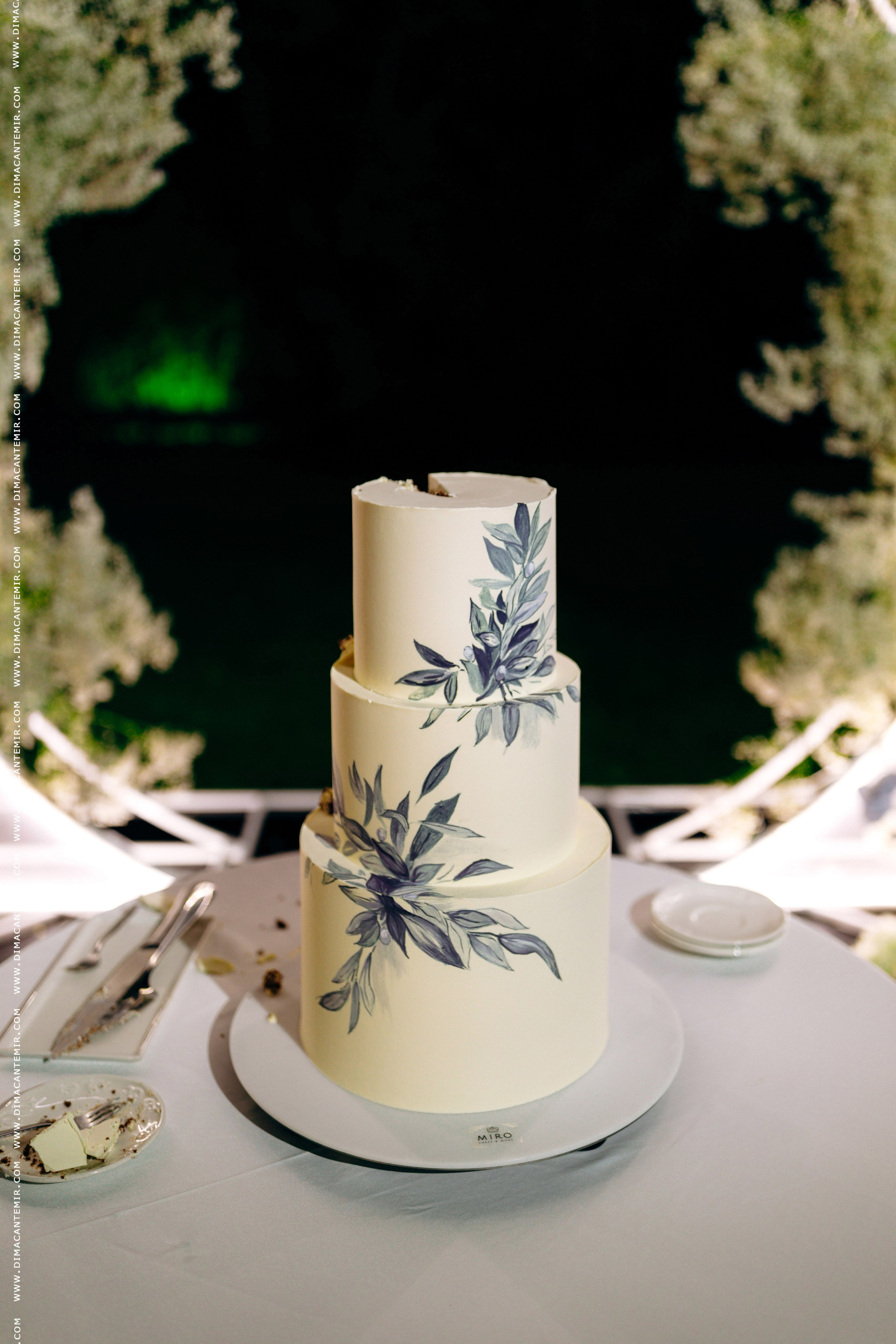 ION + DANA | VILA DRAGO. Свадебный фотограф Молдова Кишинёв