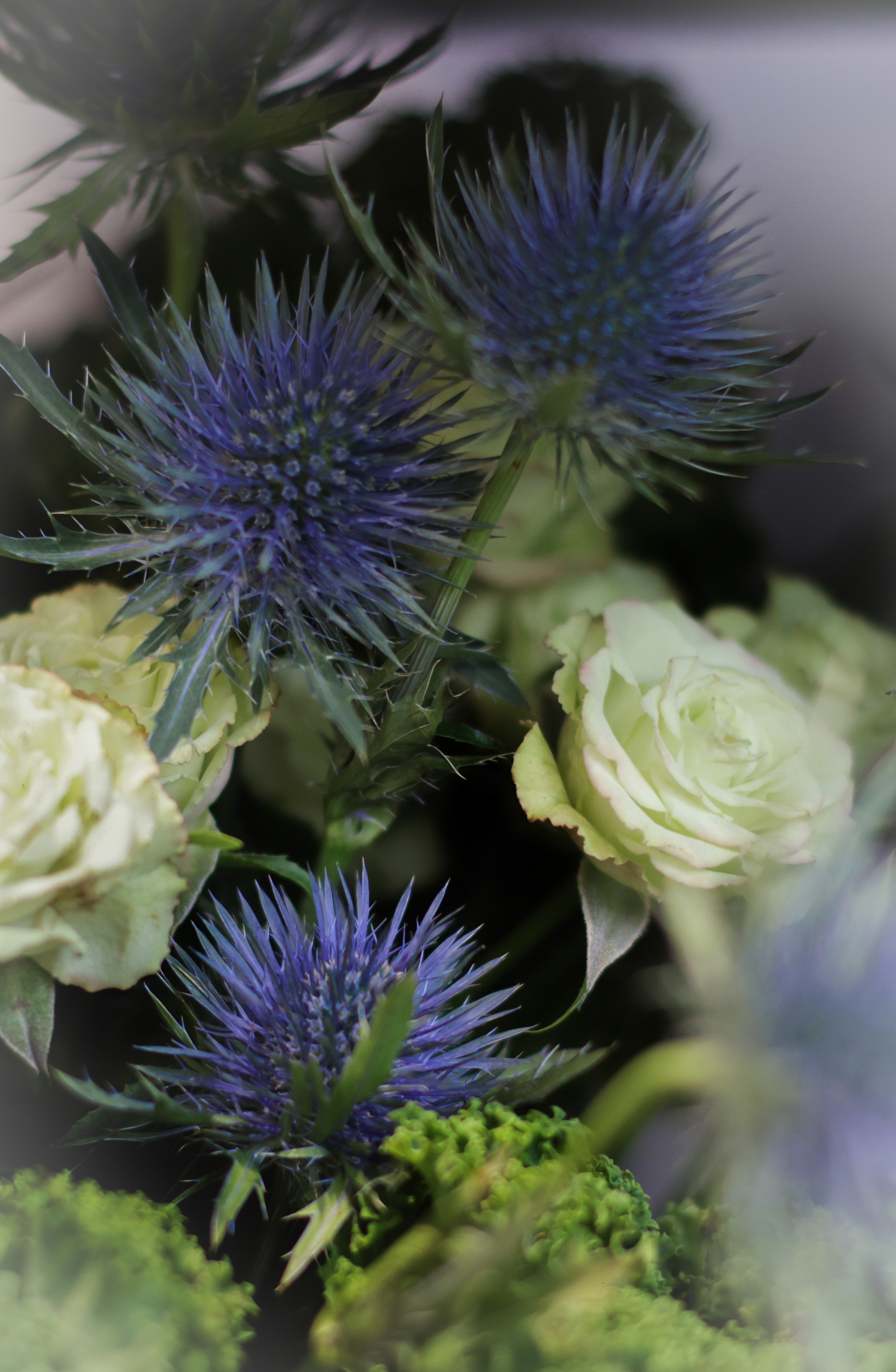 NATURE MORTE et VIVANTE. Natalia Bogdanovska. Films et photographie corporate en France