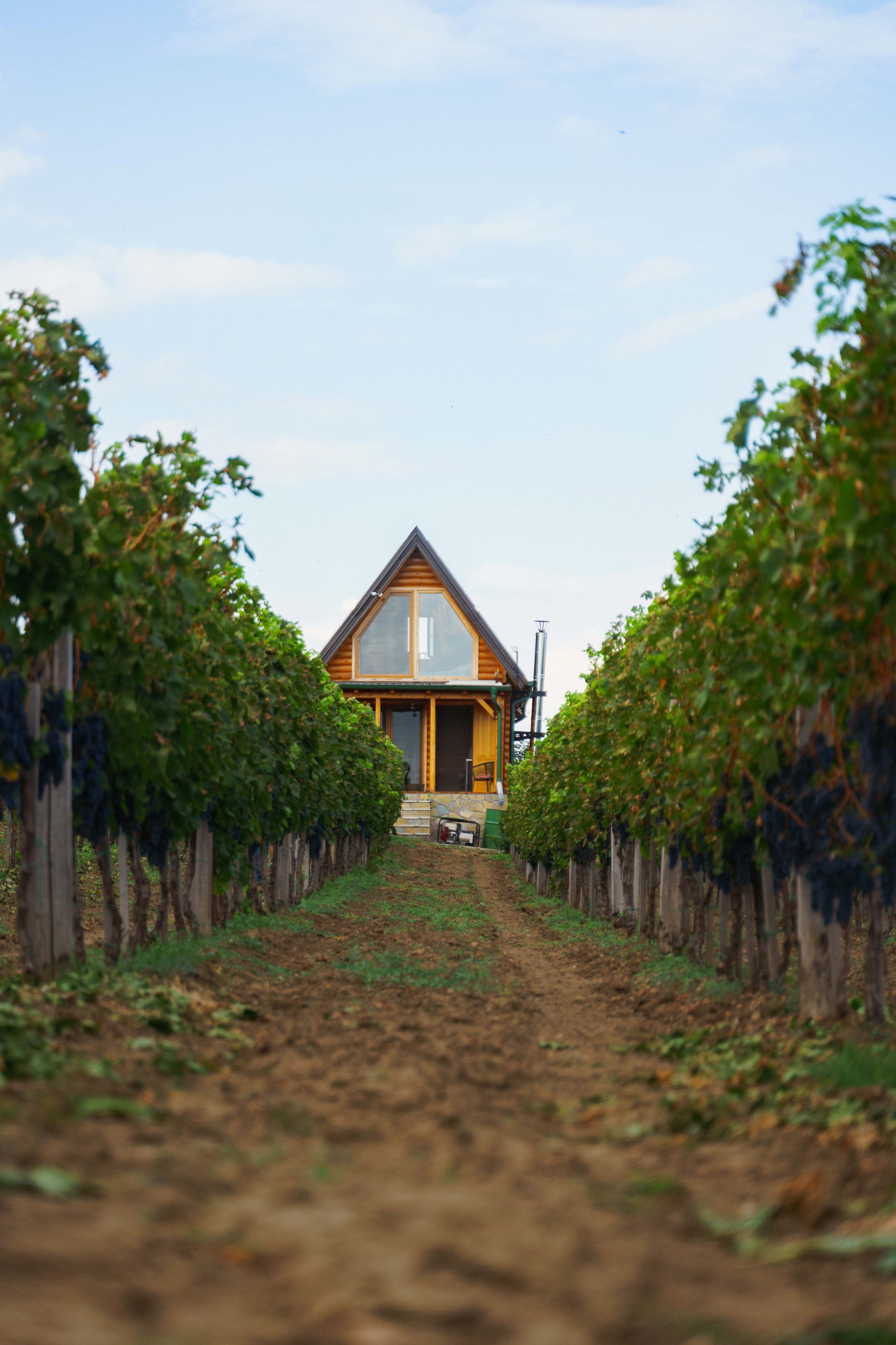 Jeep Commerce Event. Zhukov studio