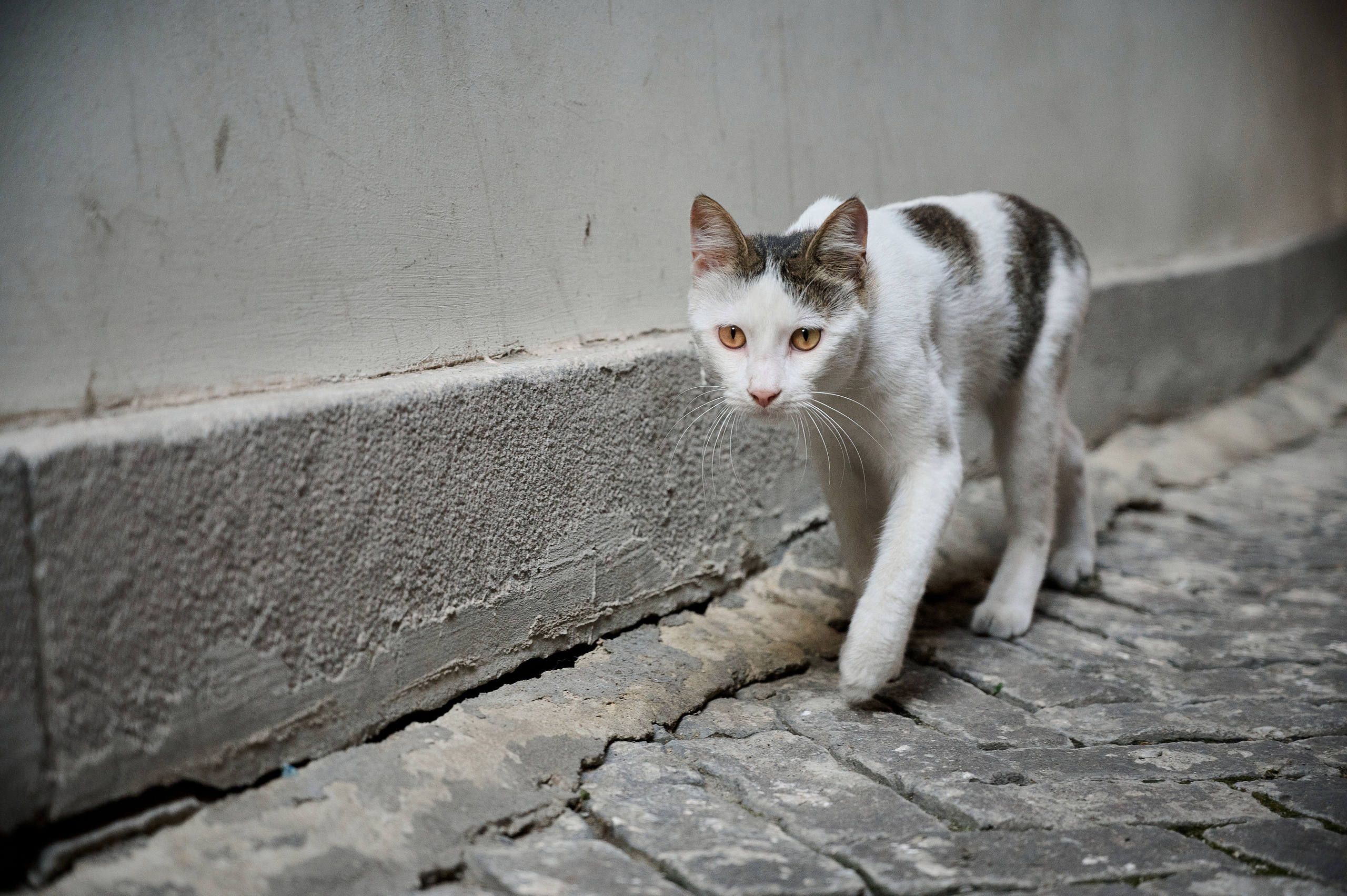 Психолог Кирилл контент для соц сетей. Stanisalu Krasouski Photography | Professional Photographer in Poland