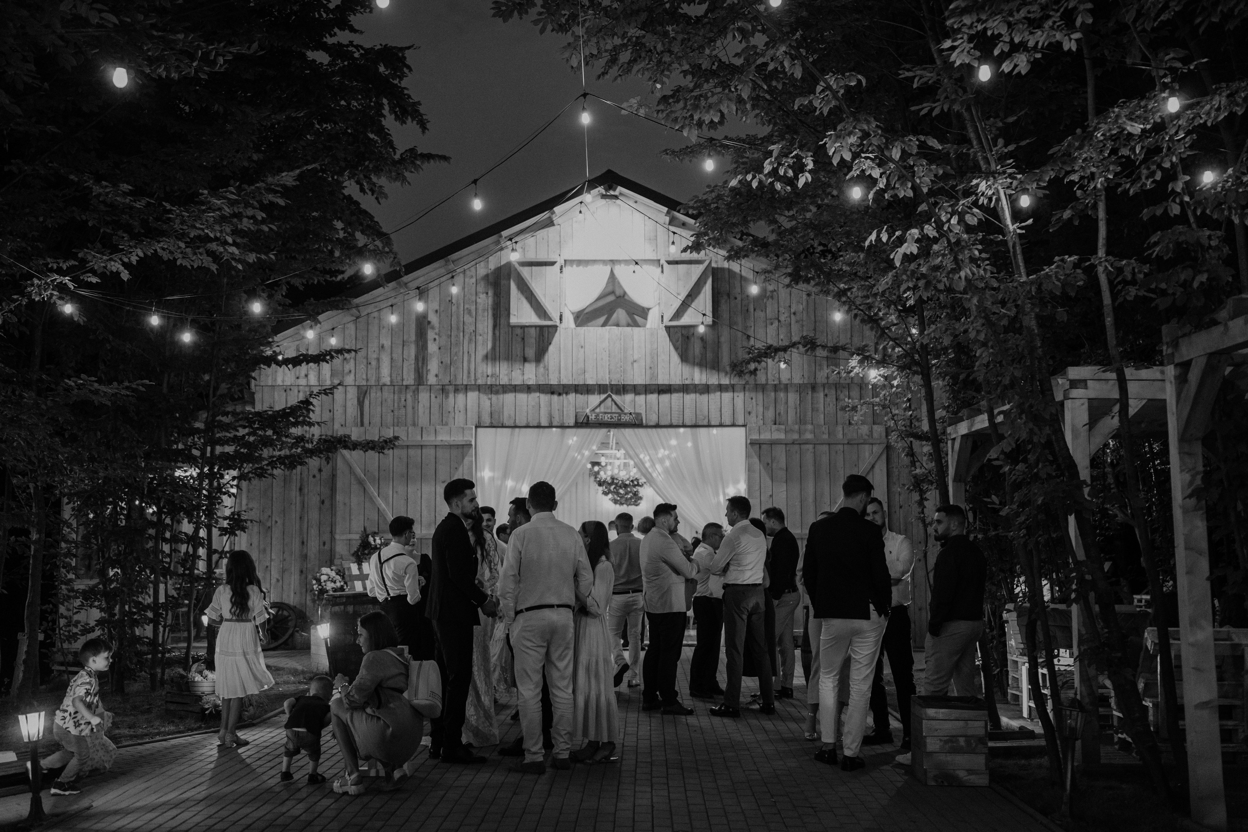 E & V. Fotograf Nunta Iasi - Hearts & Pictures