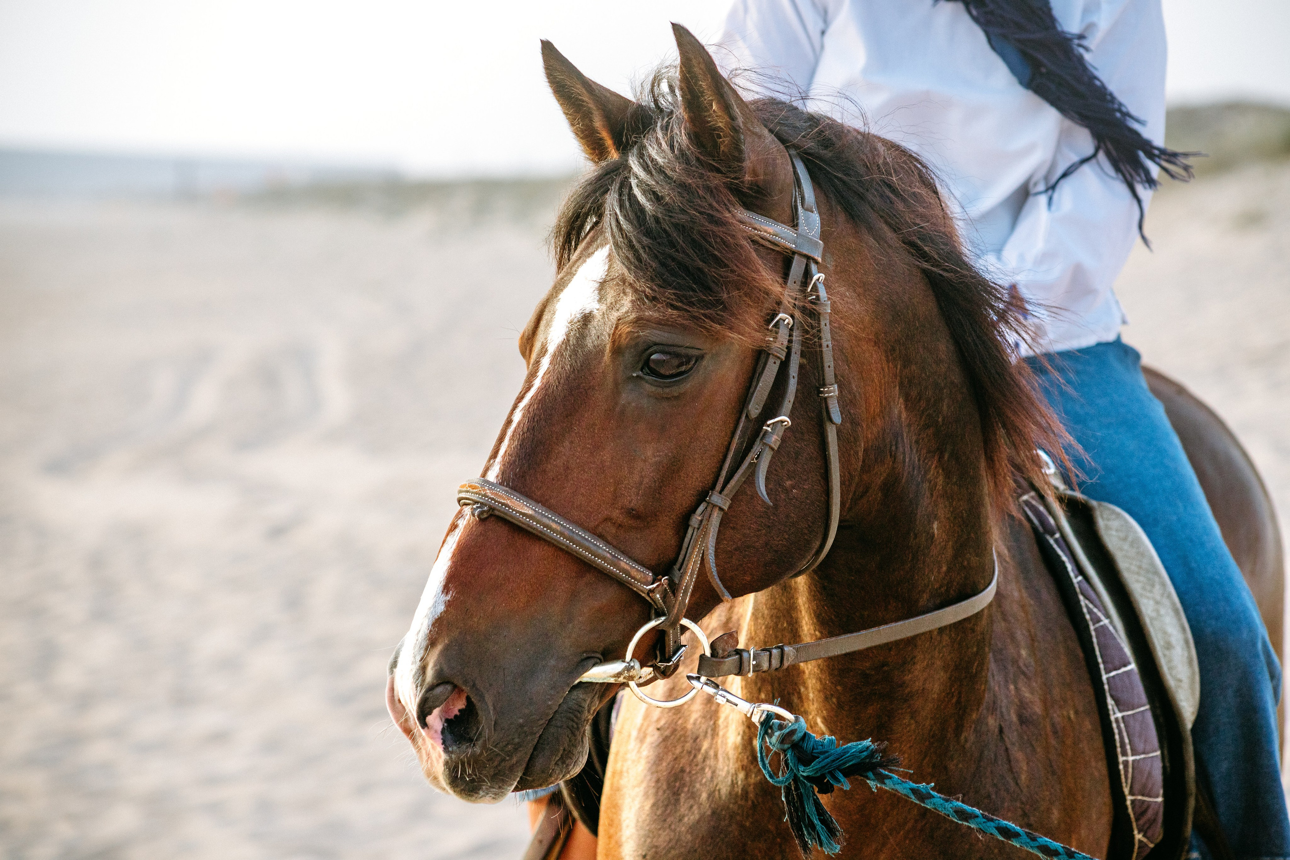 Marlene & Tiago com filhos. Passeios a Cavalo na Praia Peniche | Eco Salgados Agroturismo