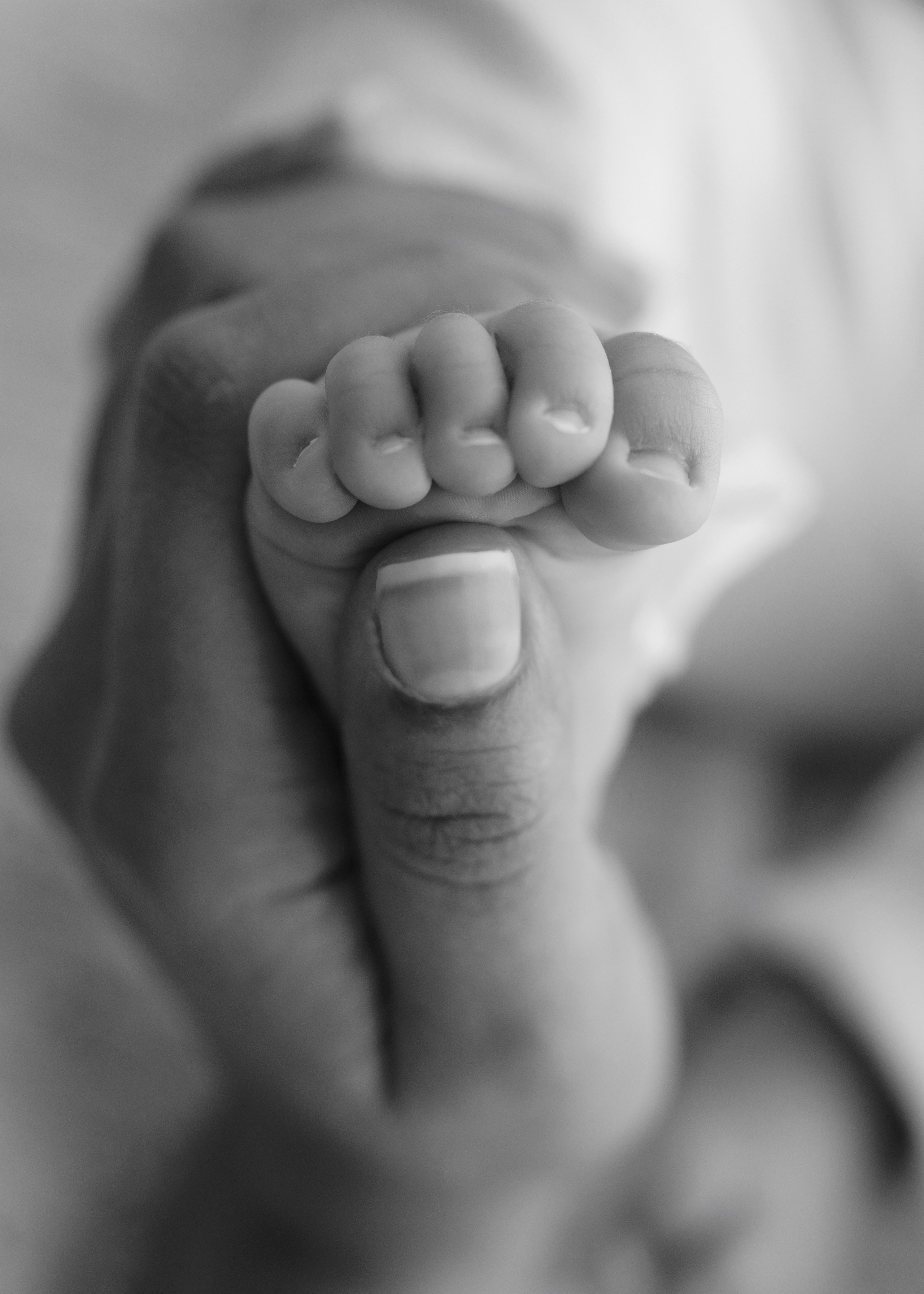 Newborn Studio. Katerina Sellitti - Newborn Fotografin aus Bern. Schweiz