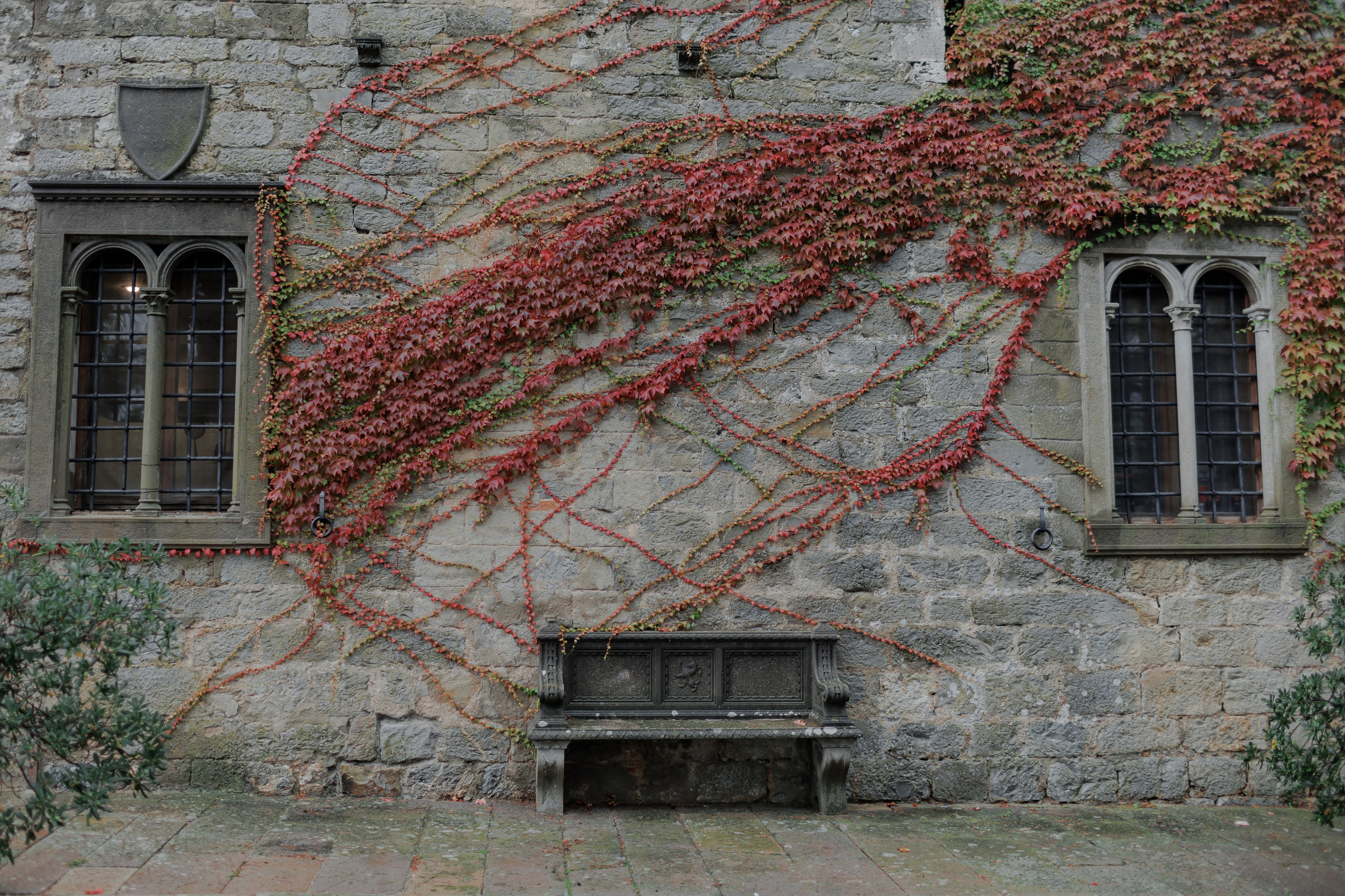 Ekateryna&David wedding in Tuscany. Wedding photographer Italy
