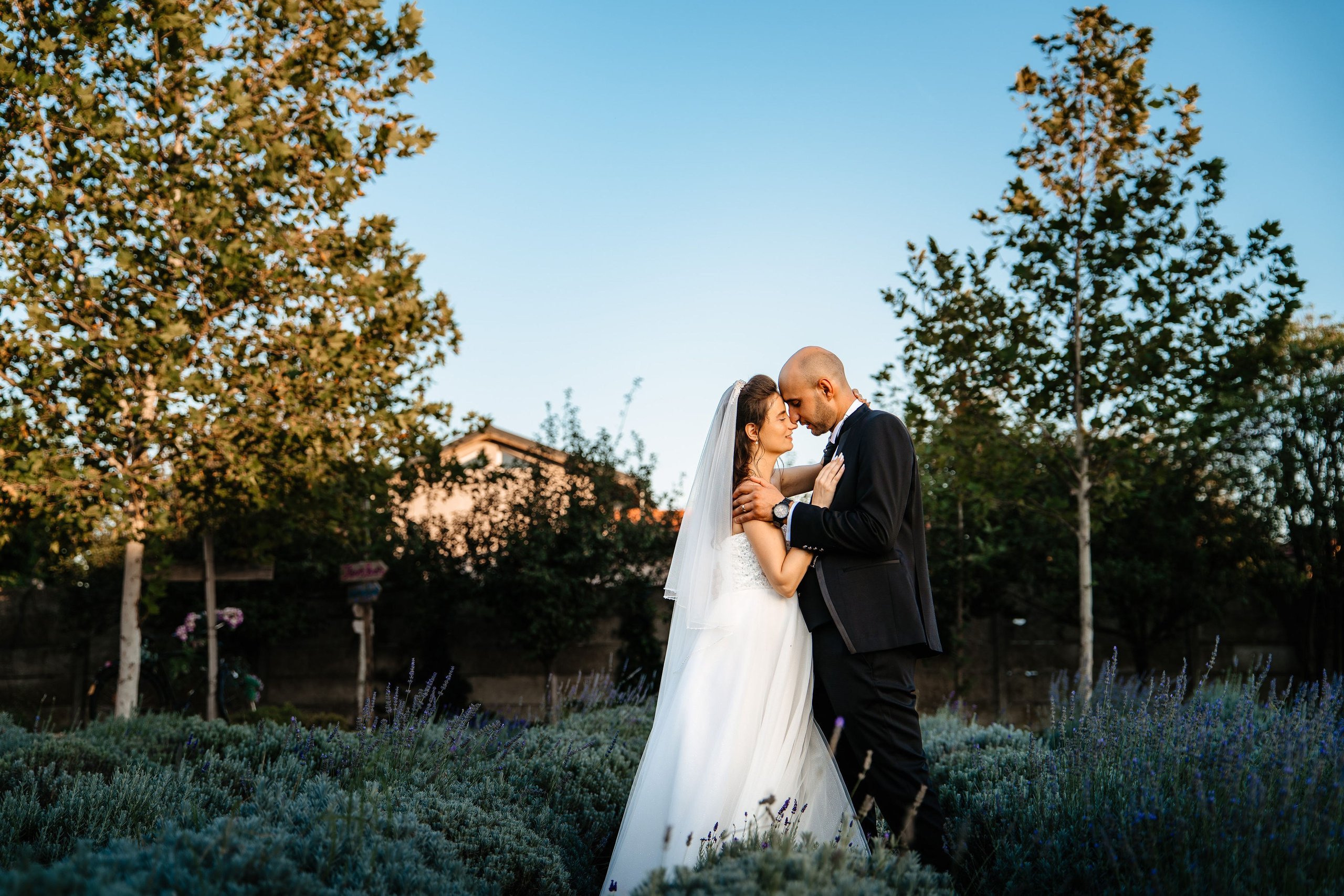 Roxana, Lucian & un început în trei. Liviu Andrei - Fotograf