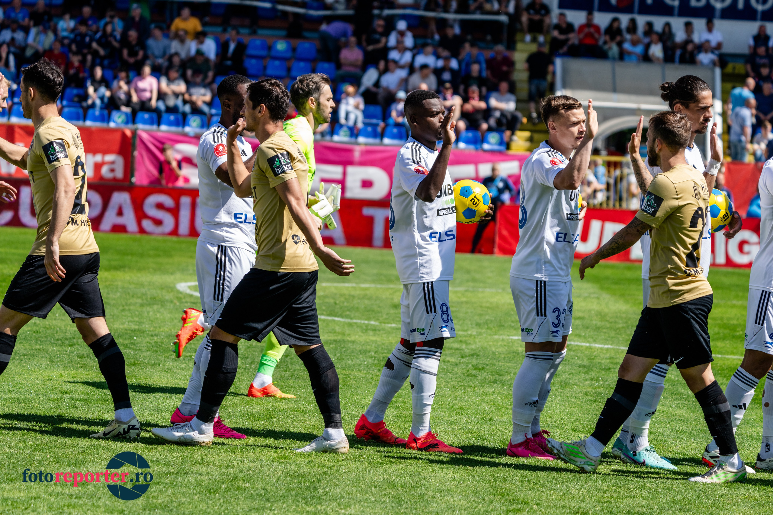 FC BOTOSANI - FC VOLUNTARI
