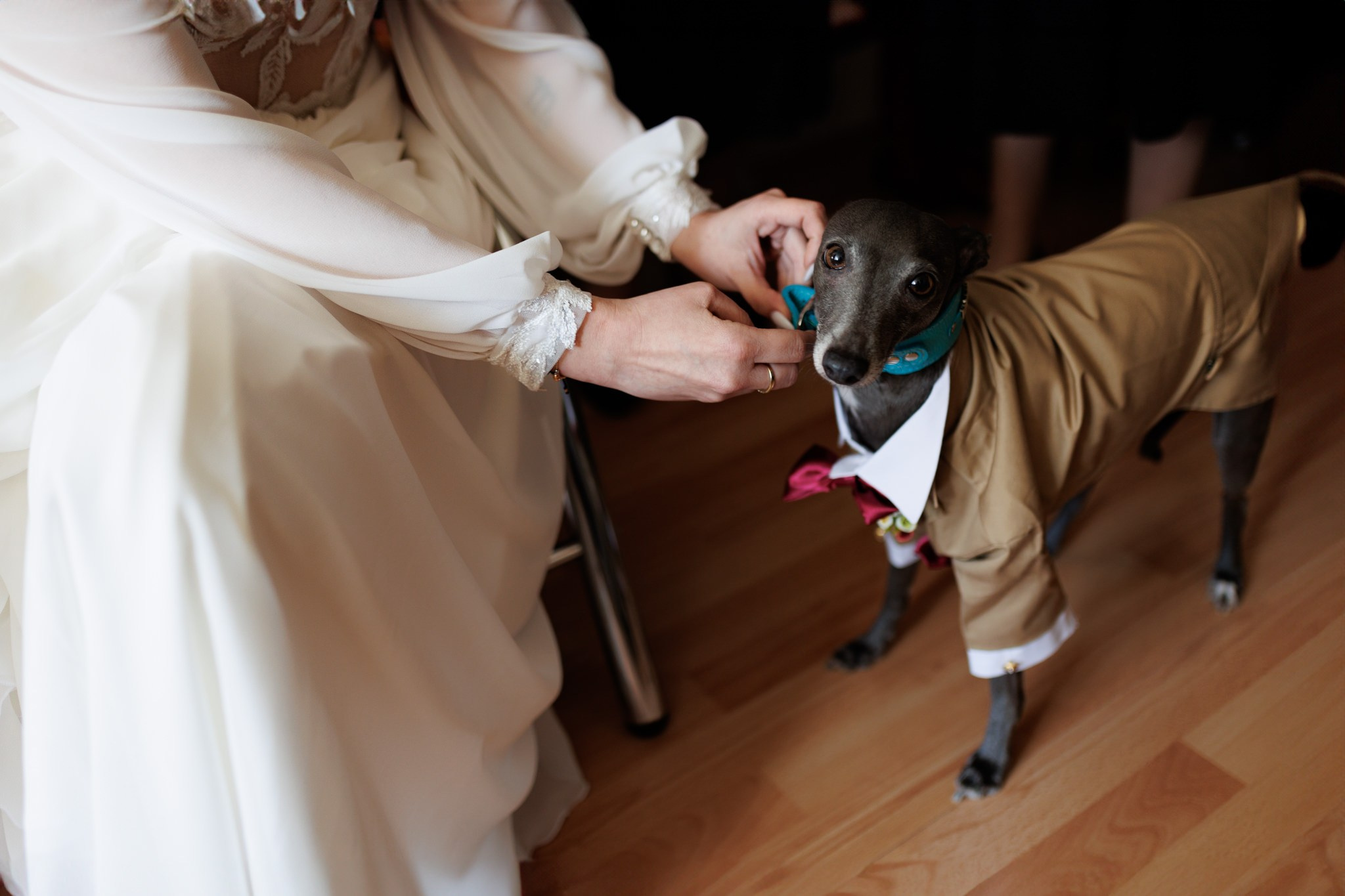 Nunta Ema si Valentin la Domeniile Saftica - Fotograf nunta Bucuresti. Fotograf nunta Bucuresti - Manu Ivanciu