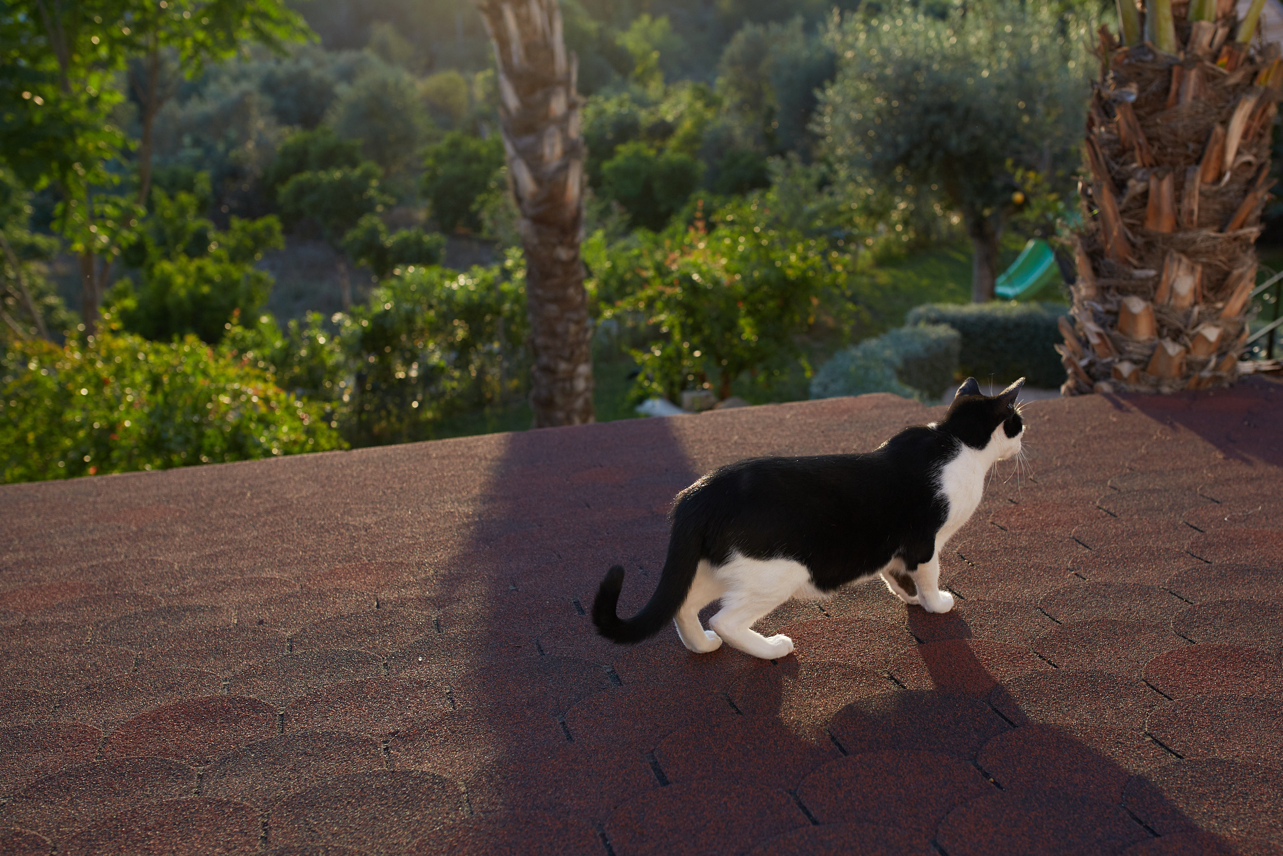 Yulia. NATALYA FOTOS FOTOGRAFO ALTEA - ALICANTE Семейный фотограф в Аликанте