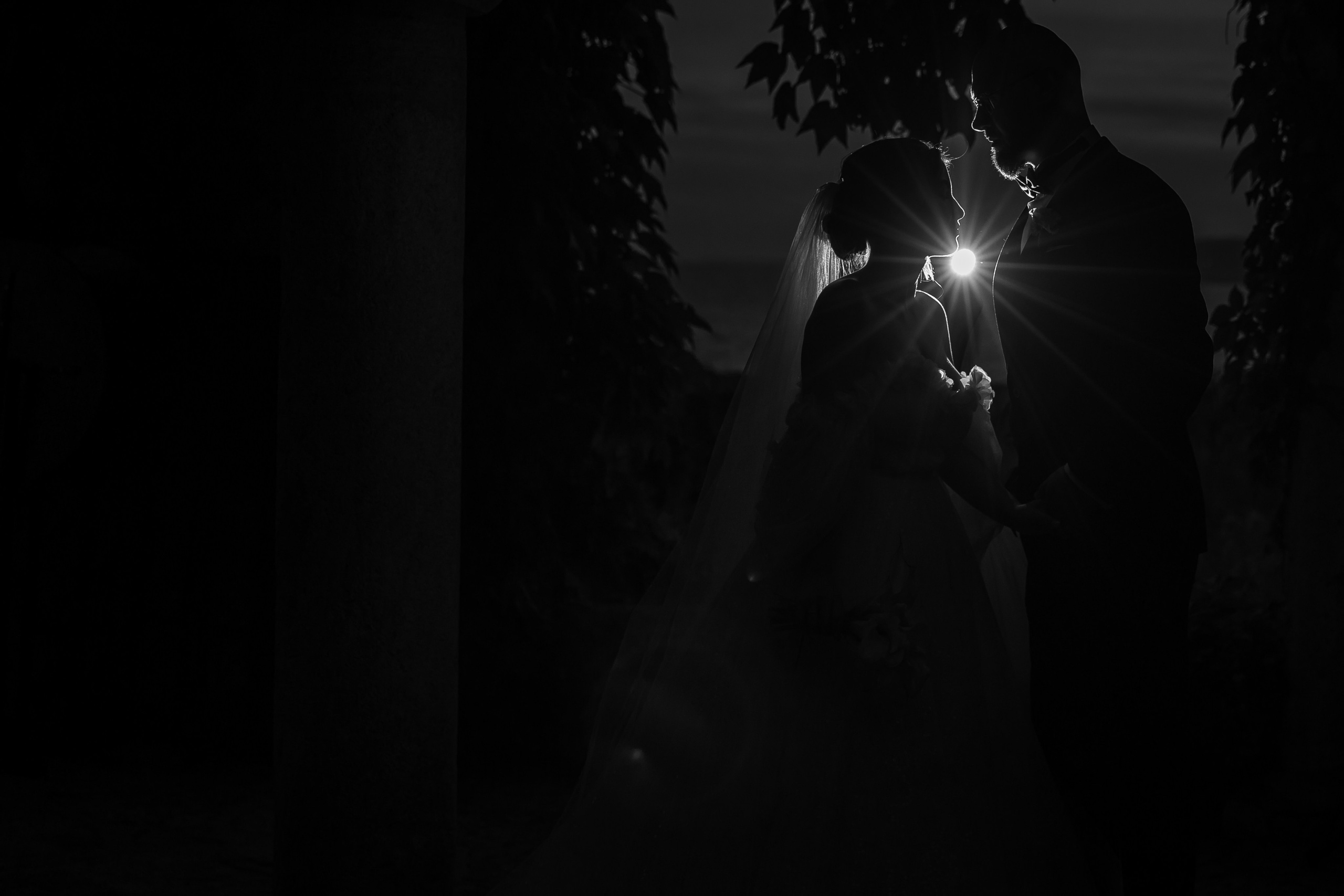 Bulgaria - Alexandru & Lolita. Servicii foto-video!