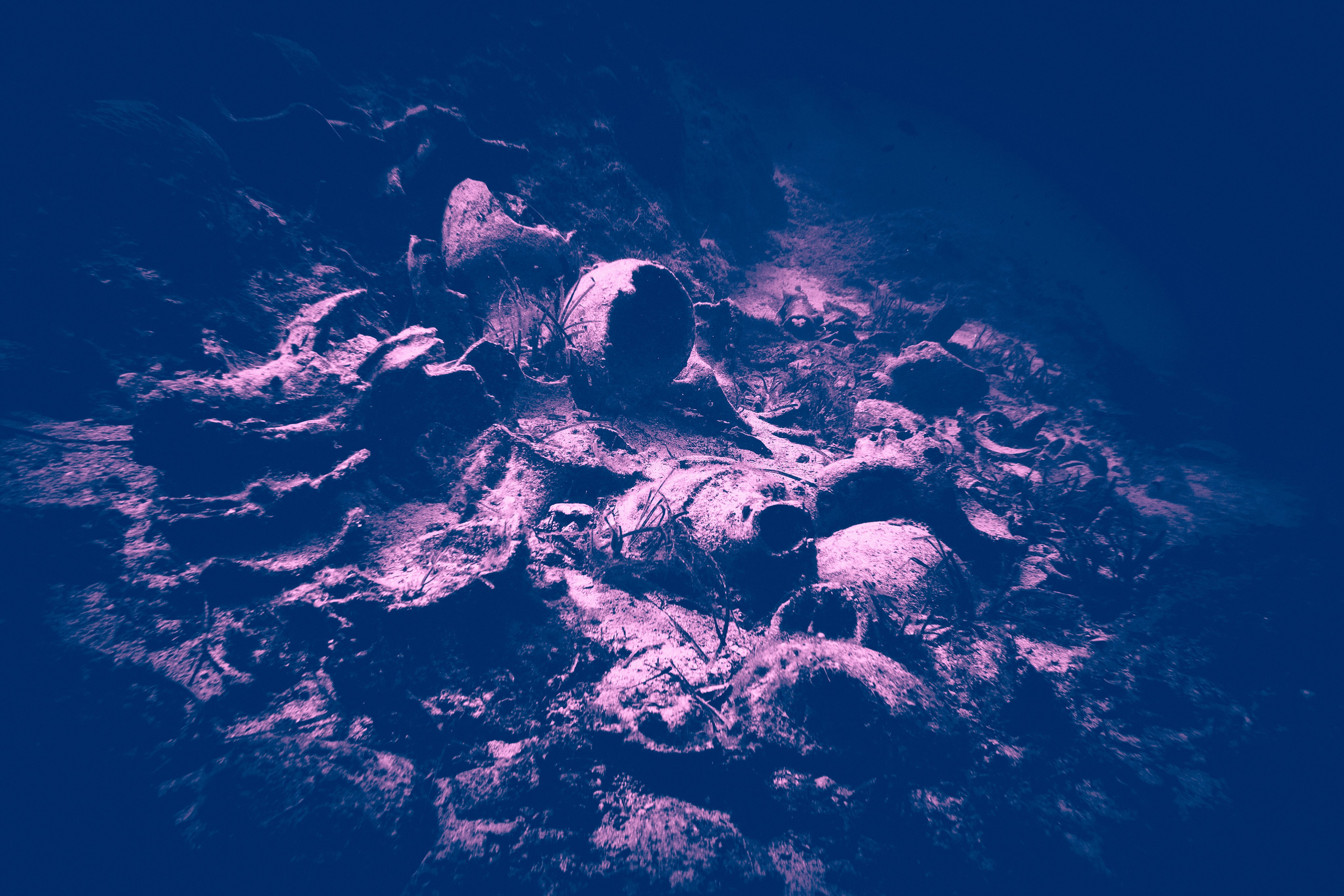 Fotograf podwodny Andriej Szypiłow. Andriej Szypilow - Fotografia & Wideografia