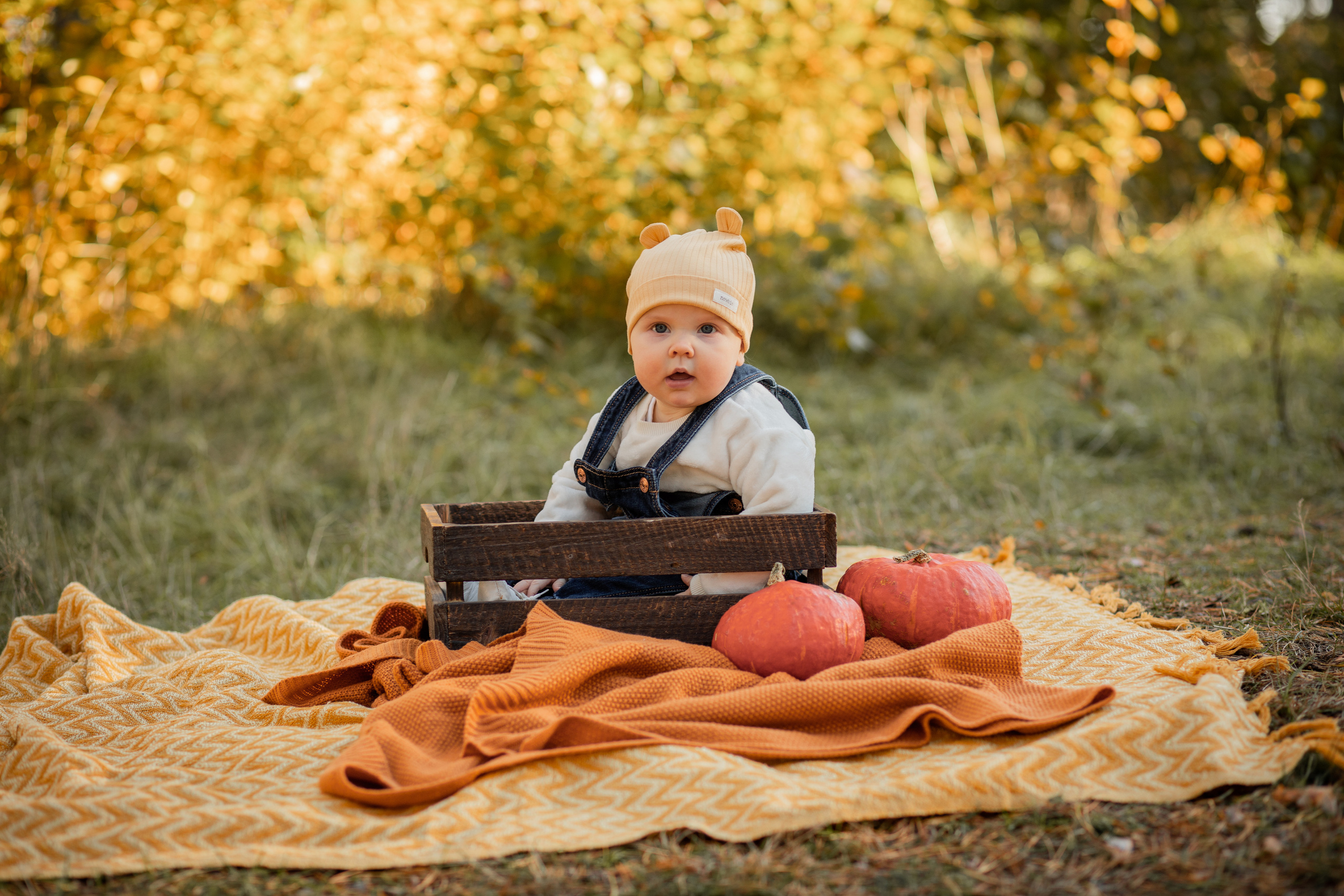 PERHEKUVAUS. Valokuvaaja Itä-Uudellamaalla Viktoria photography