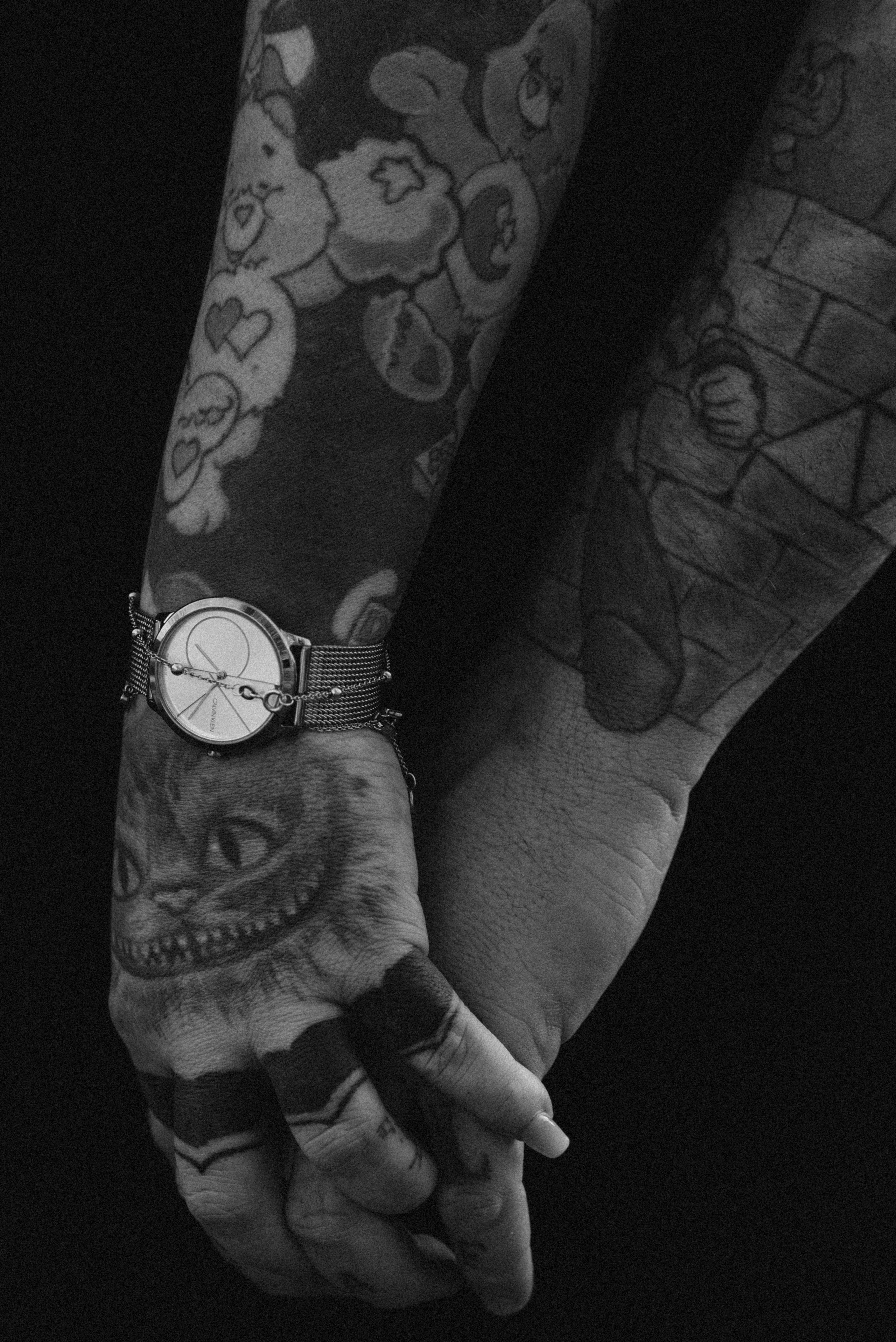 DANDELIONS. Photographer in Nuremberg Irina Mehnert from Ansbach