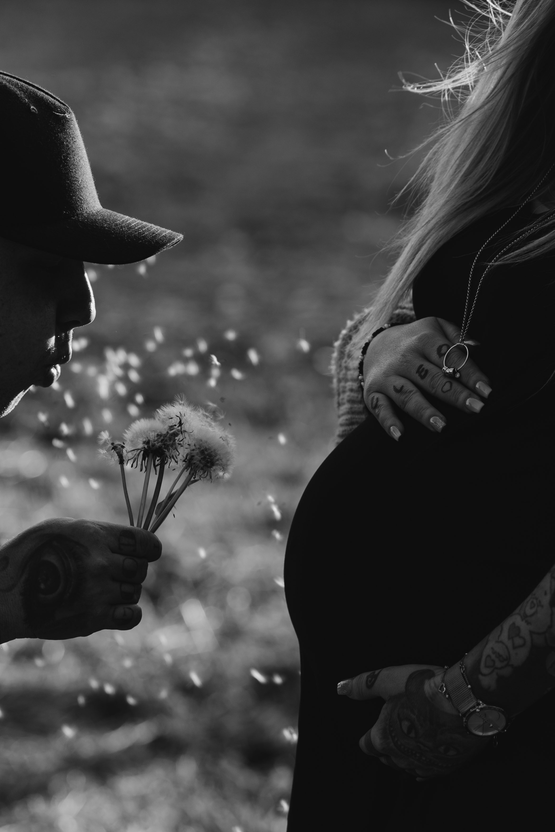 DANDELIONS. Photographer in Nuremberg Irina Mehnert from Ansbach