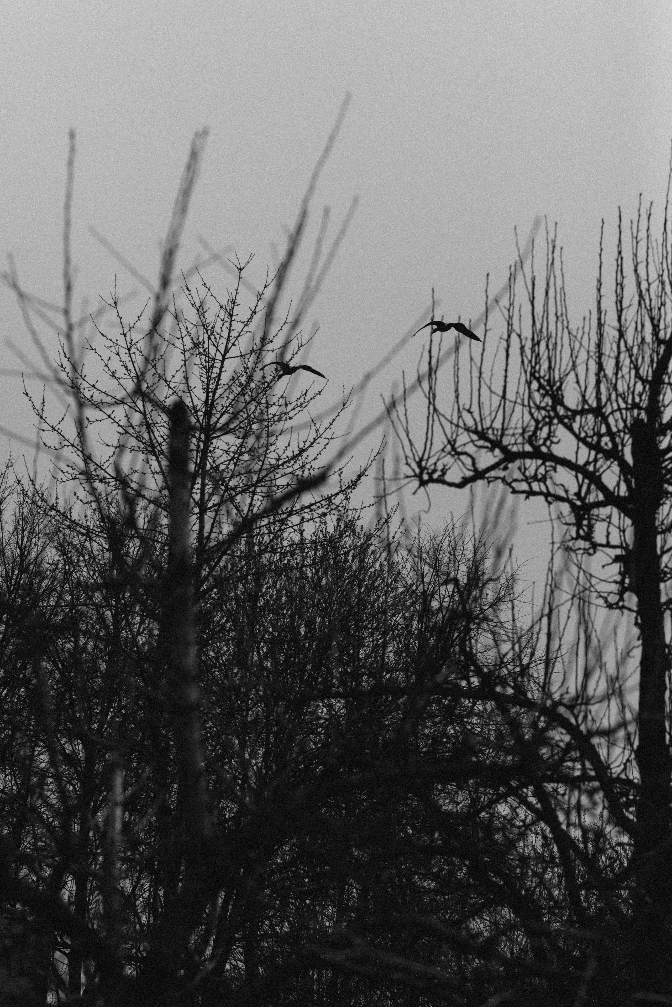 SPRING VIBES. Photographer in Nuremberg Irina Mehnert from Ansbach