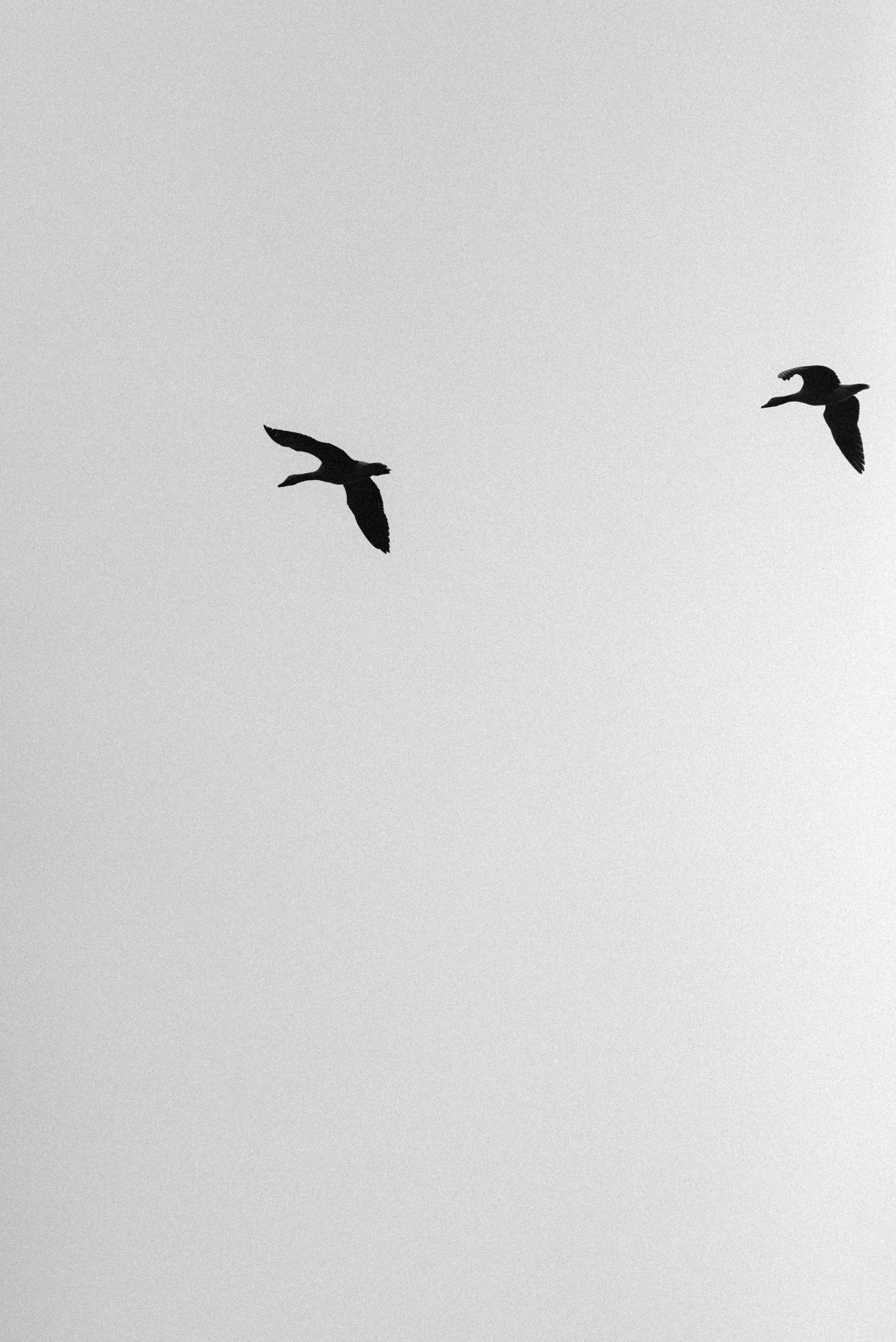 SPRING VIBES. Photographer in Nuremberg Irina Mehnert from Ansbach