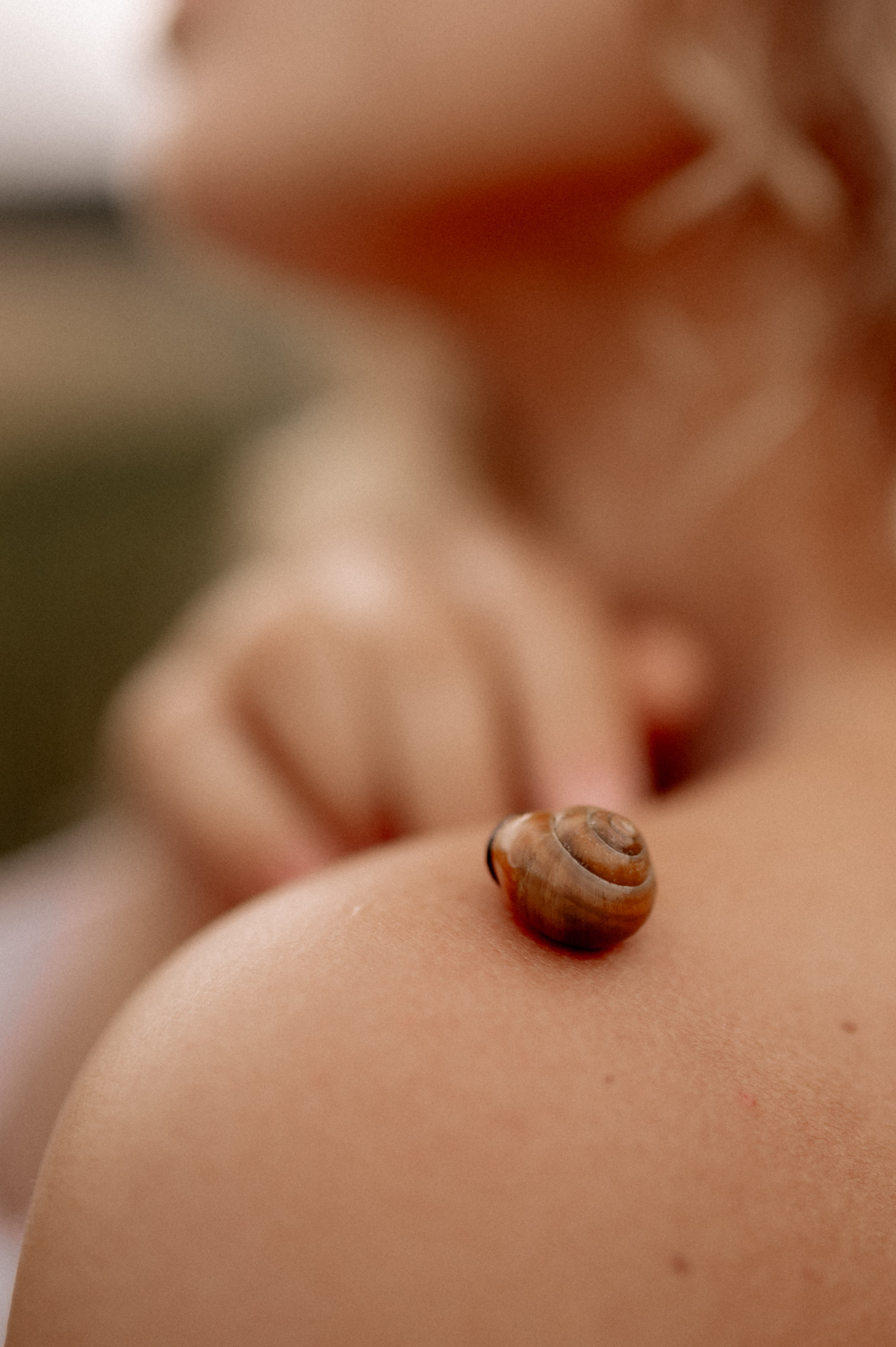 GREEN FOREST. Фотограф в Нюрнберге Ирина Менерт из Ансбаха