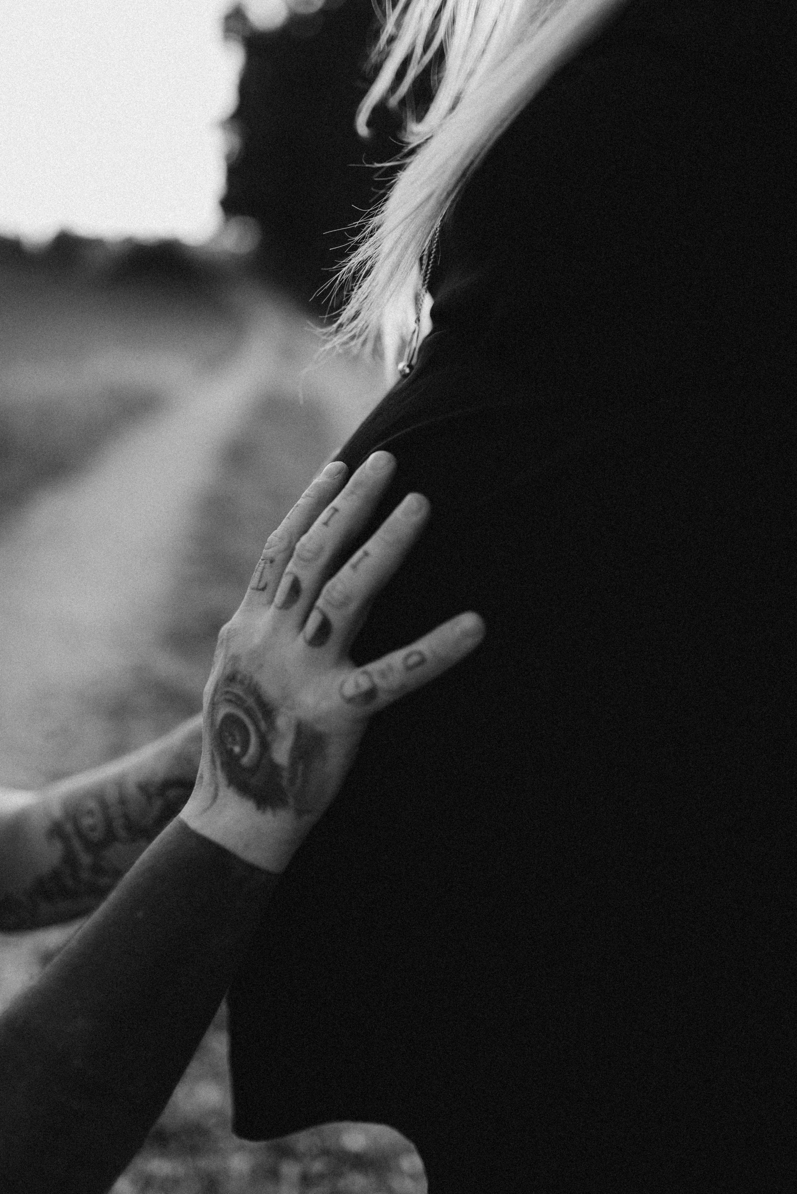DANDELIONS. Photographer in Nuremberg Irina Mehnert from Ansbach