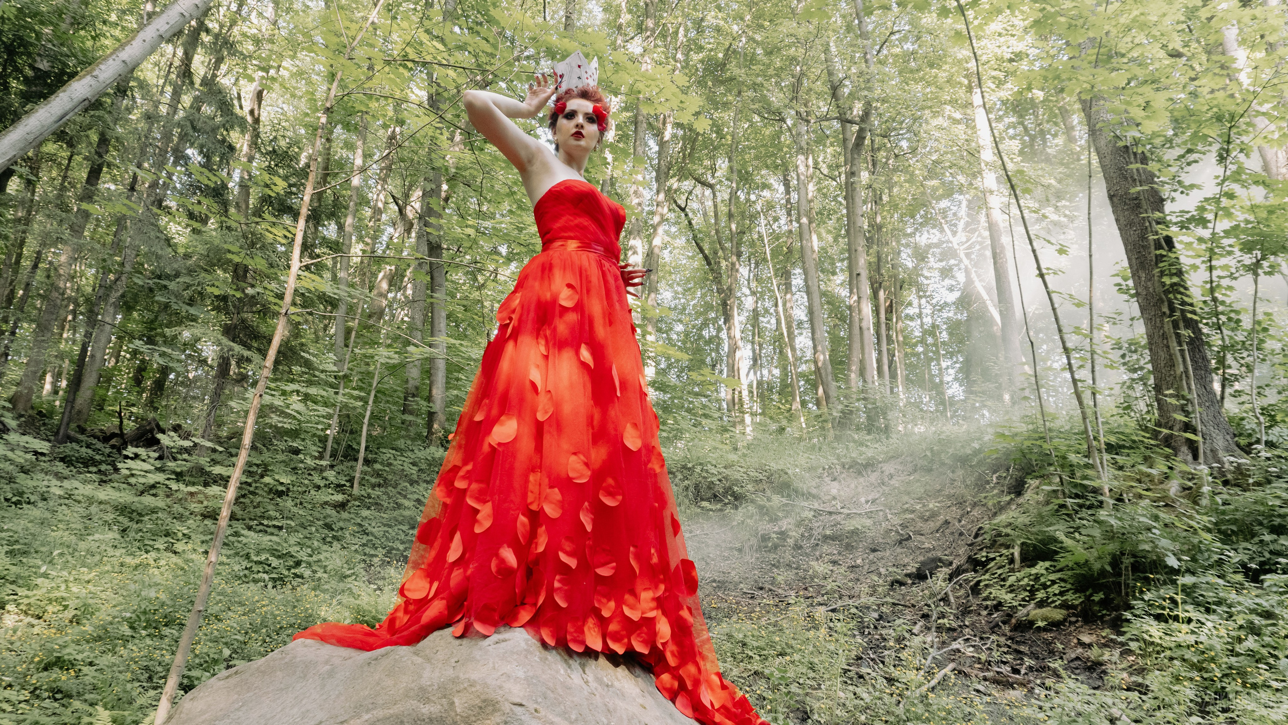 Alice In Wonderland. Main