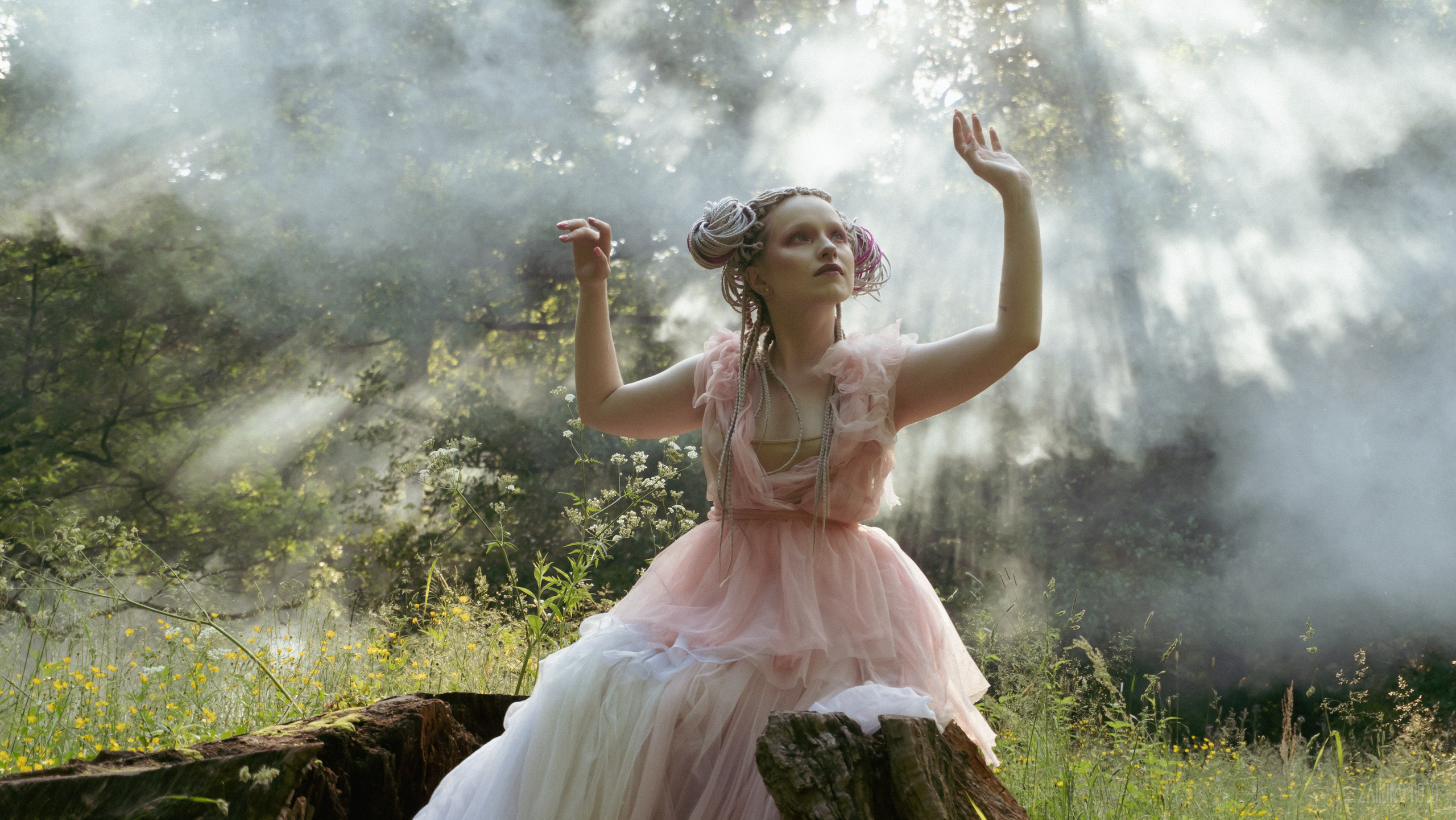 Alice In Wonderland. Main