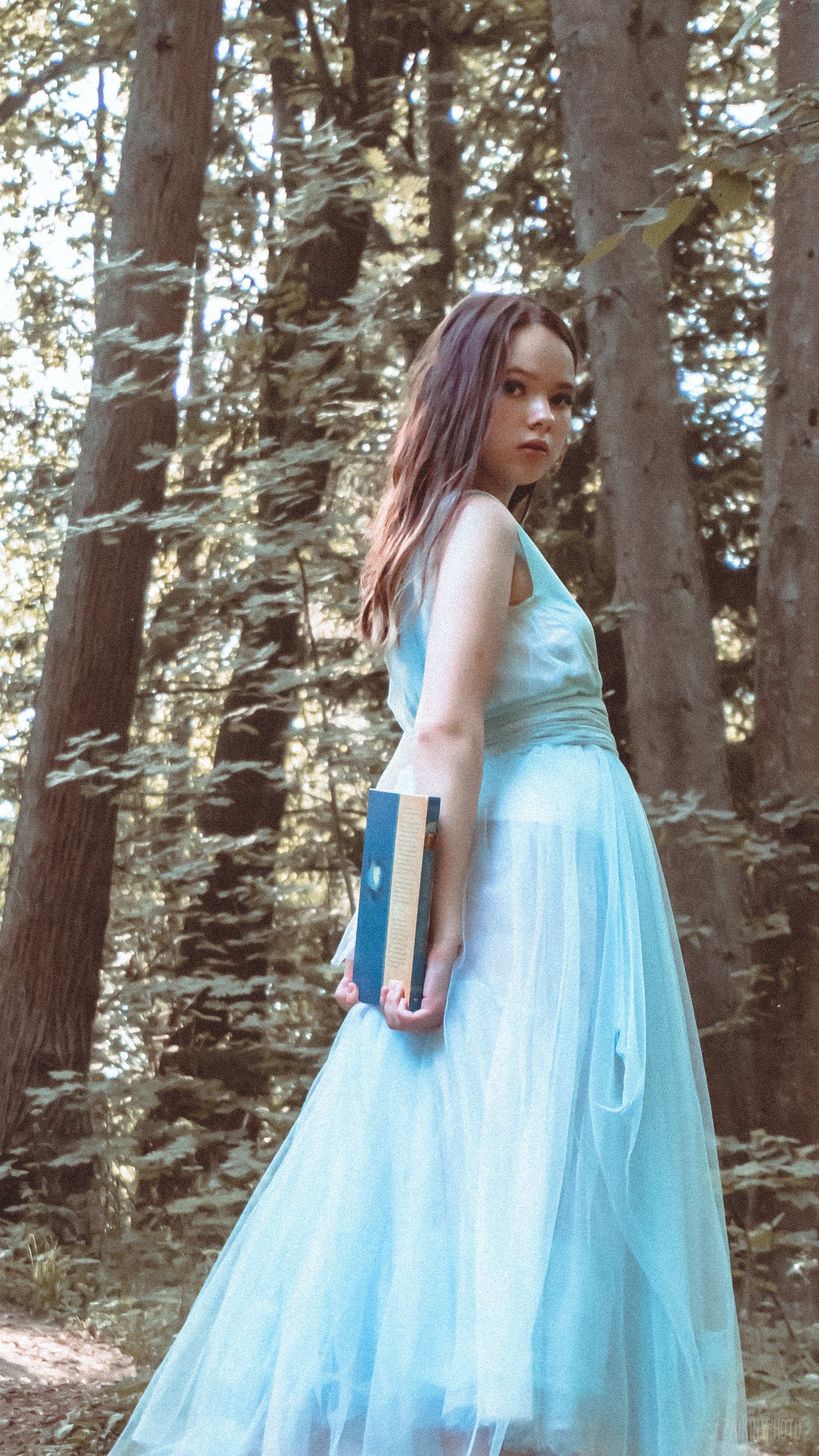 Alice In Wonderland. Main