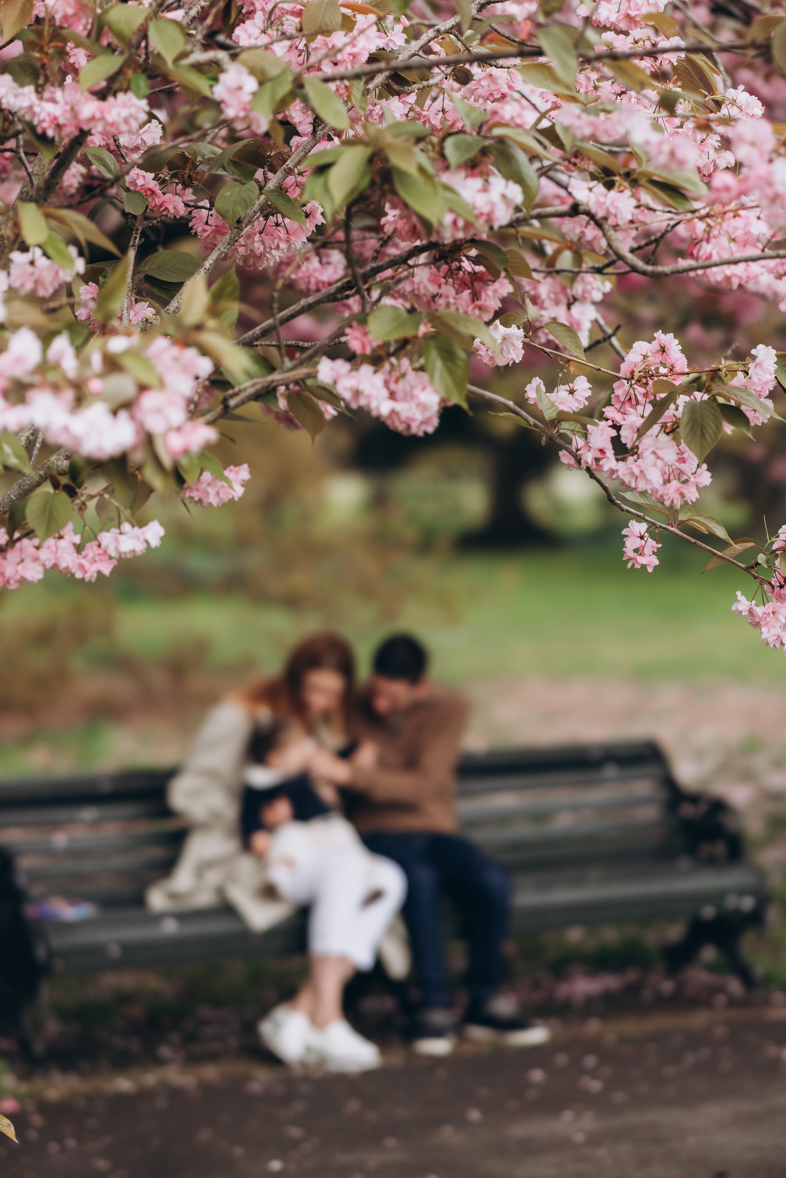 Sofia with parents (Greenwich Park). Anastasia Klink, Photographer in London