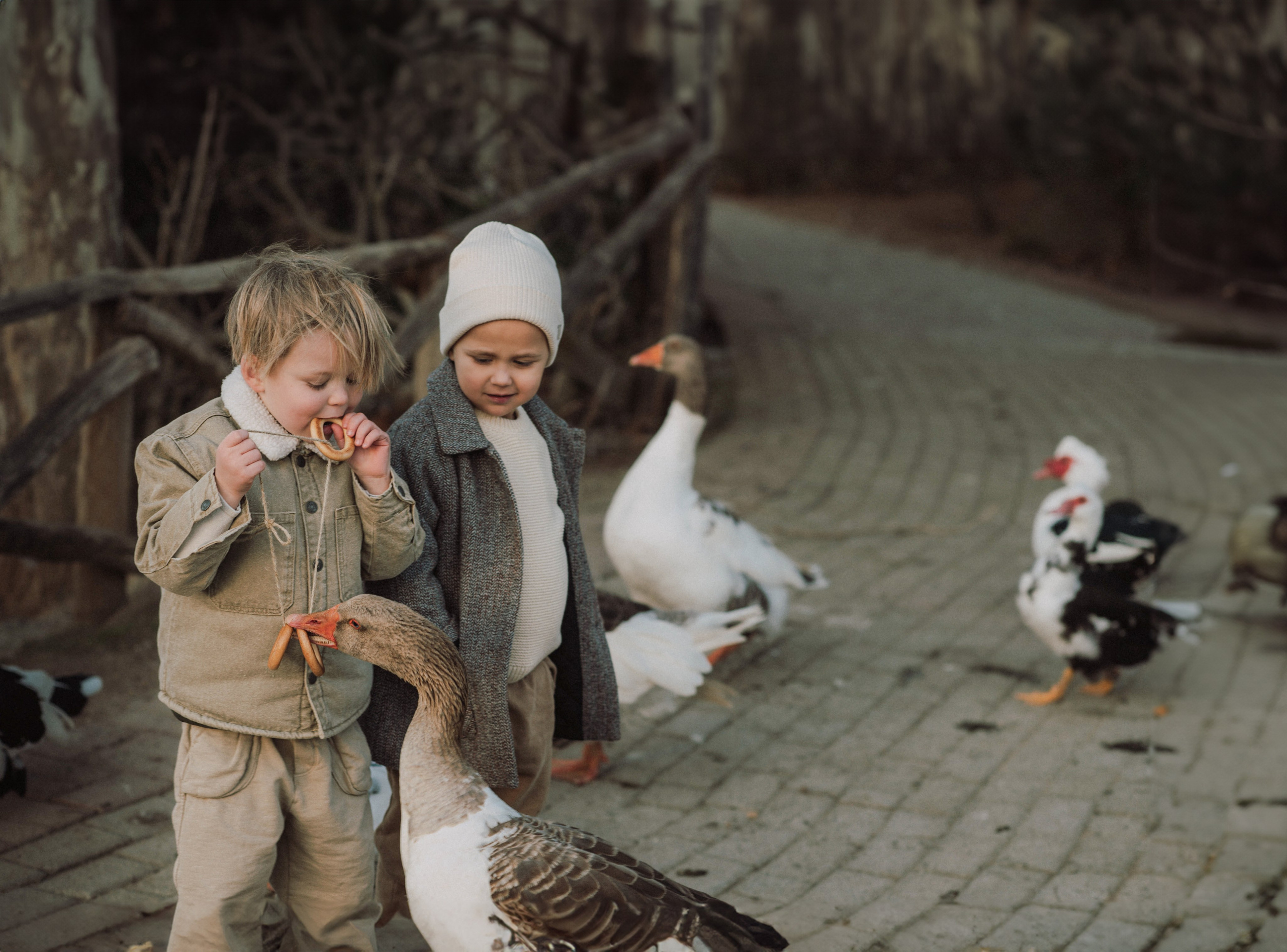 KIDS VINTAGE. Семейная, детская, портретная и предметная фотосъемка в Салониках