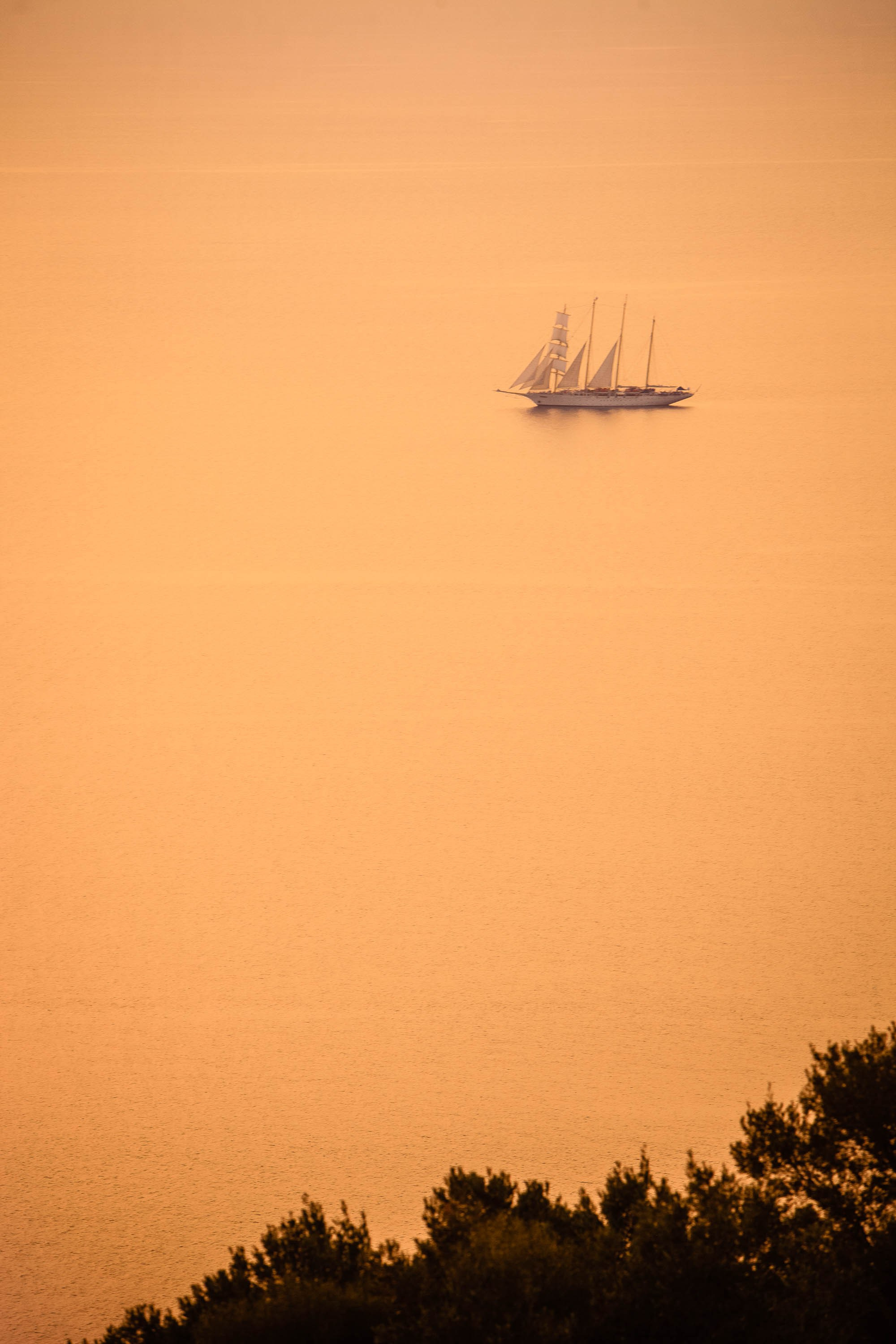 Wedding in Son Marroig Sofia & Victor. Mallorca Wedding, Corporate & Social Photographer